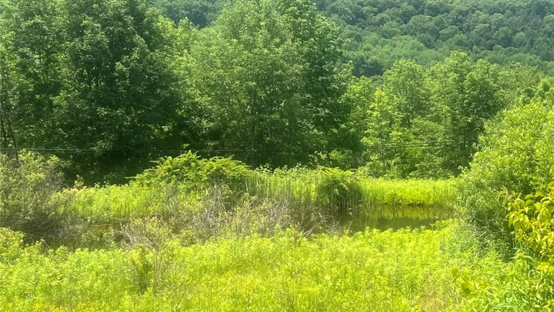 Property at Bramley Mountain Road, Delhi, NY 13753 5