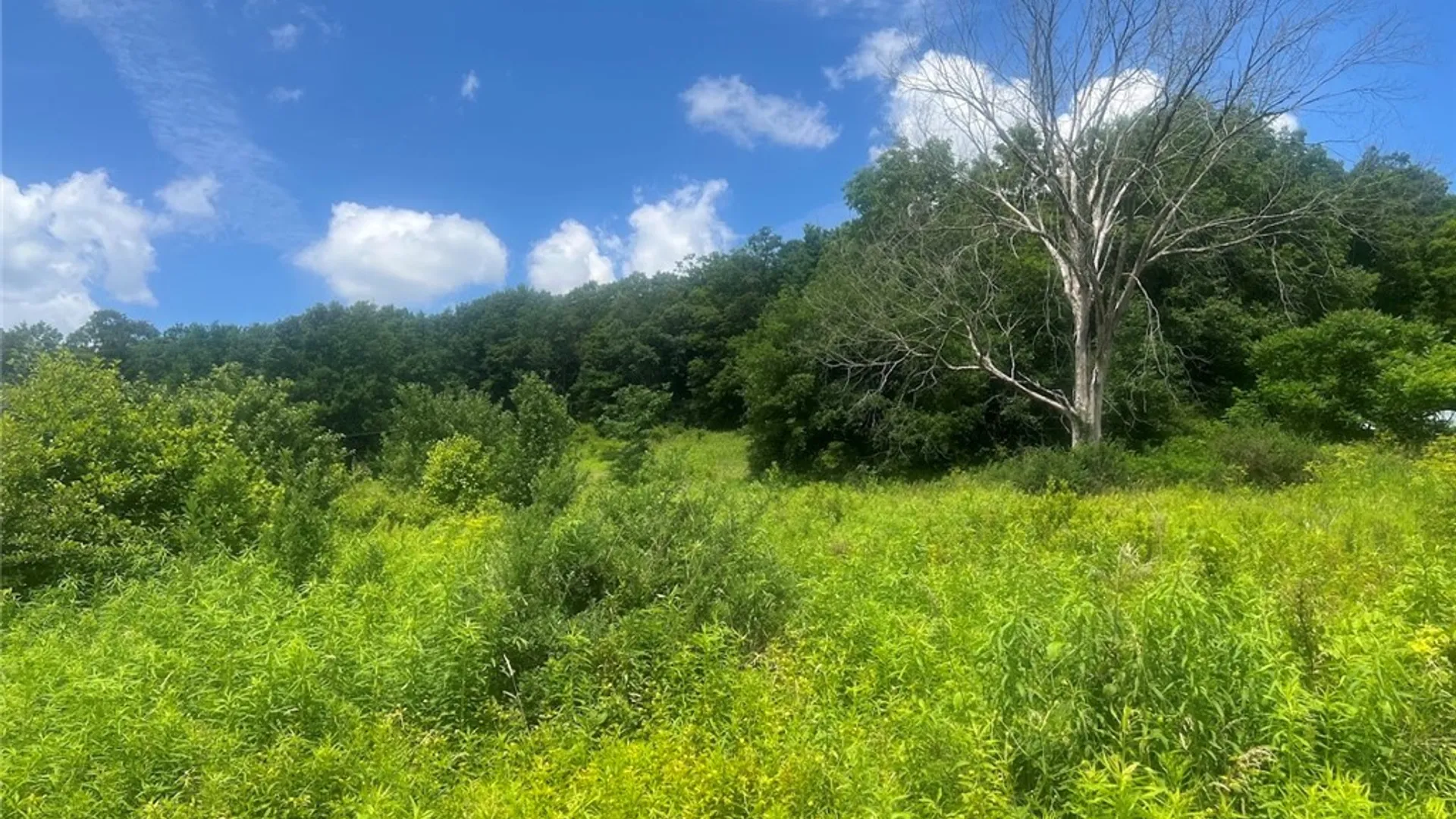 Property at Bramley Mountain Road, Delhi, NY 13753 6