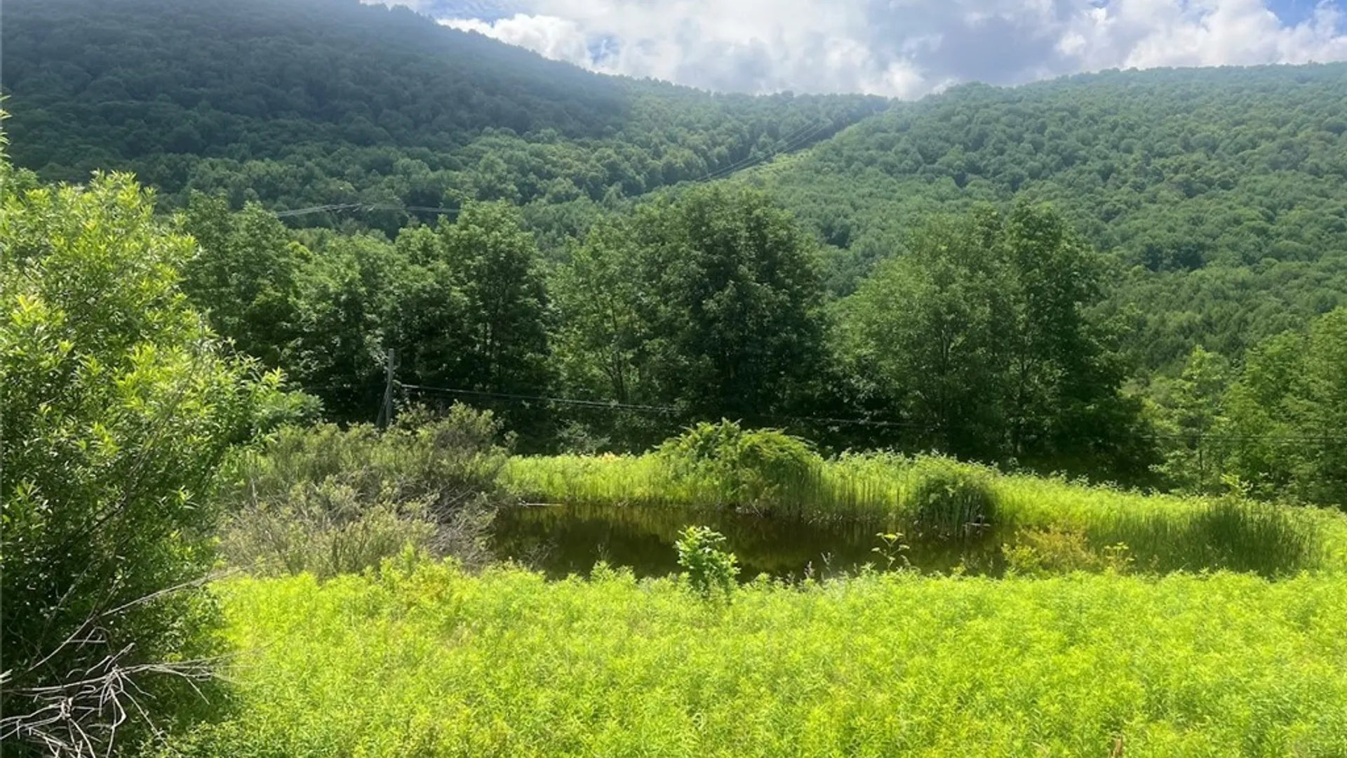 Property at Bramley Mountain Road, Delhi, NY 13753 7
