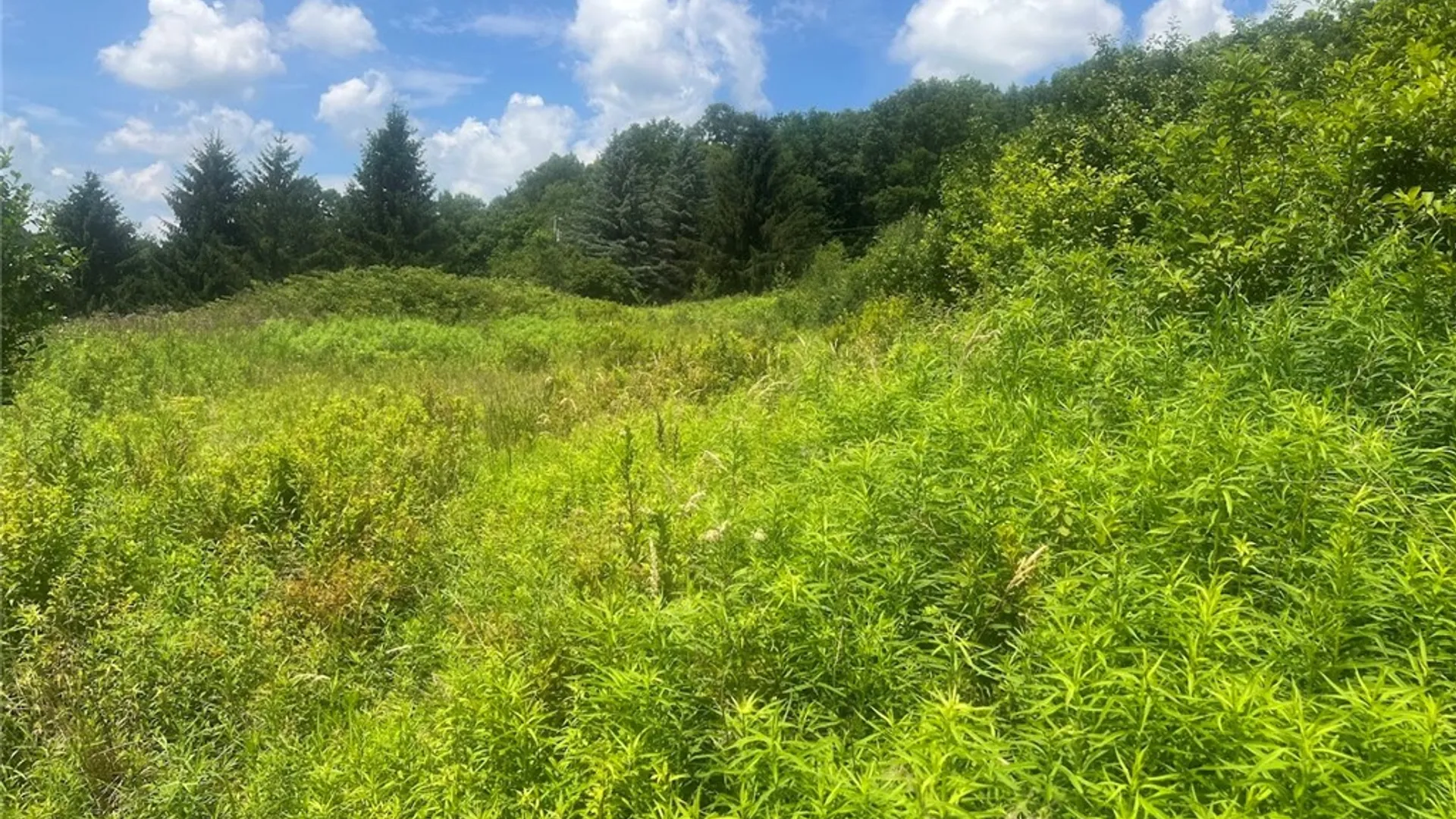 Property at Bramley Mountain Road, Delhi, NY 13753 9