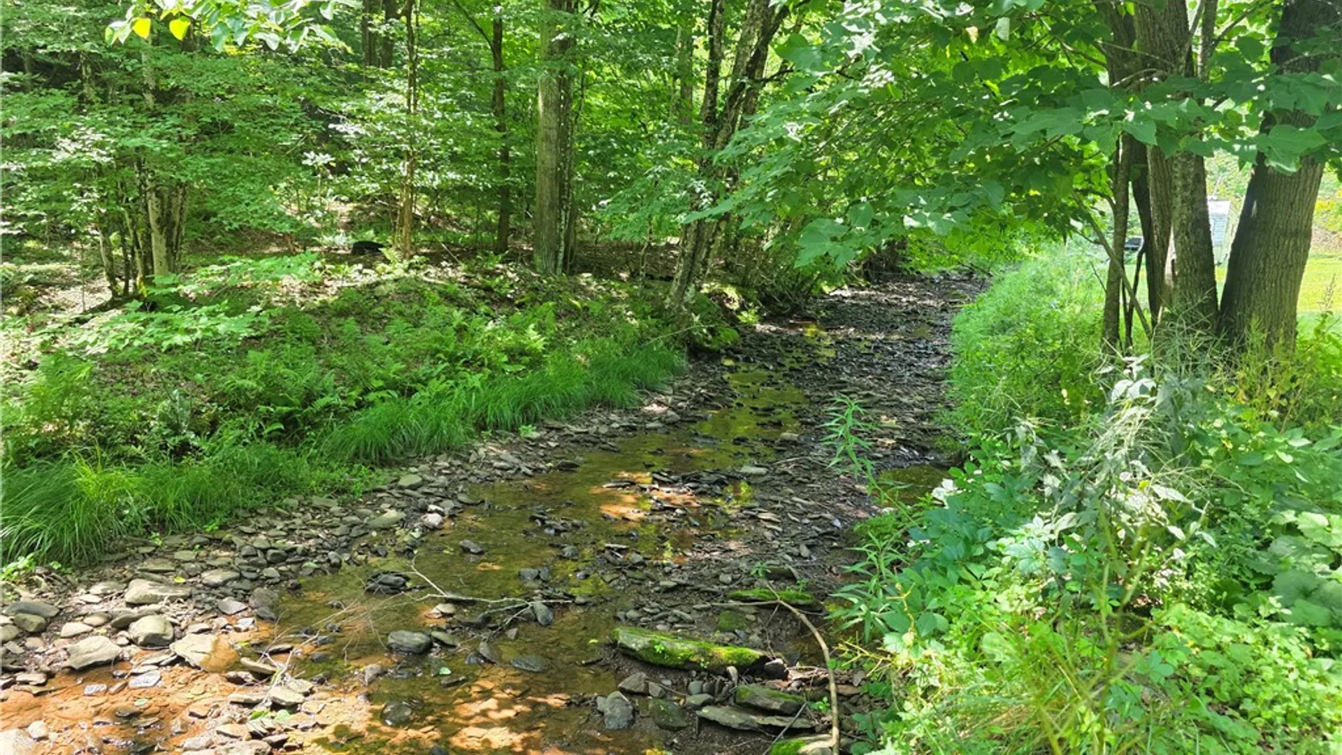 Property at 219 Lulu Coon Road, Butternuts, NY 13849 2