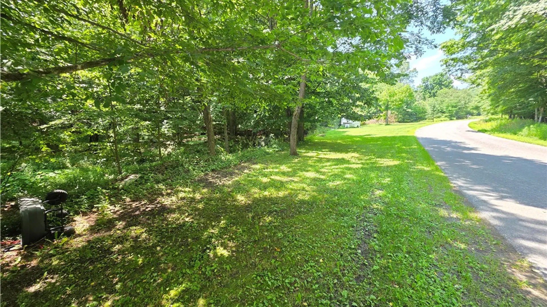 Property at 219 Lulu Coon Road, Butternuts, NY 13849 3