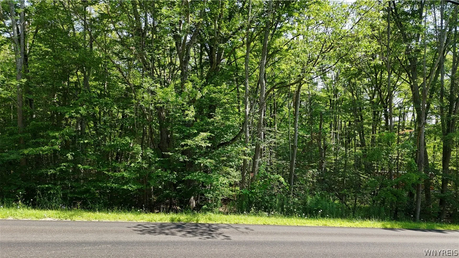 Property at Cr-49, Caneadea, NY 14717 3