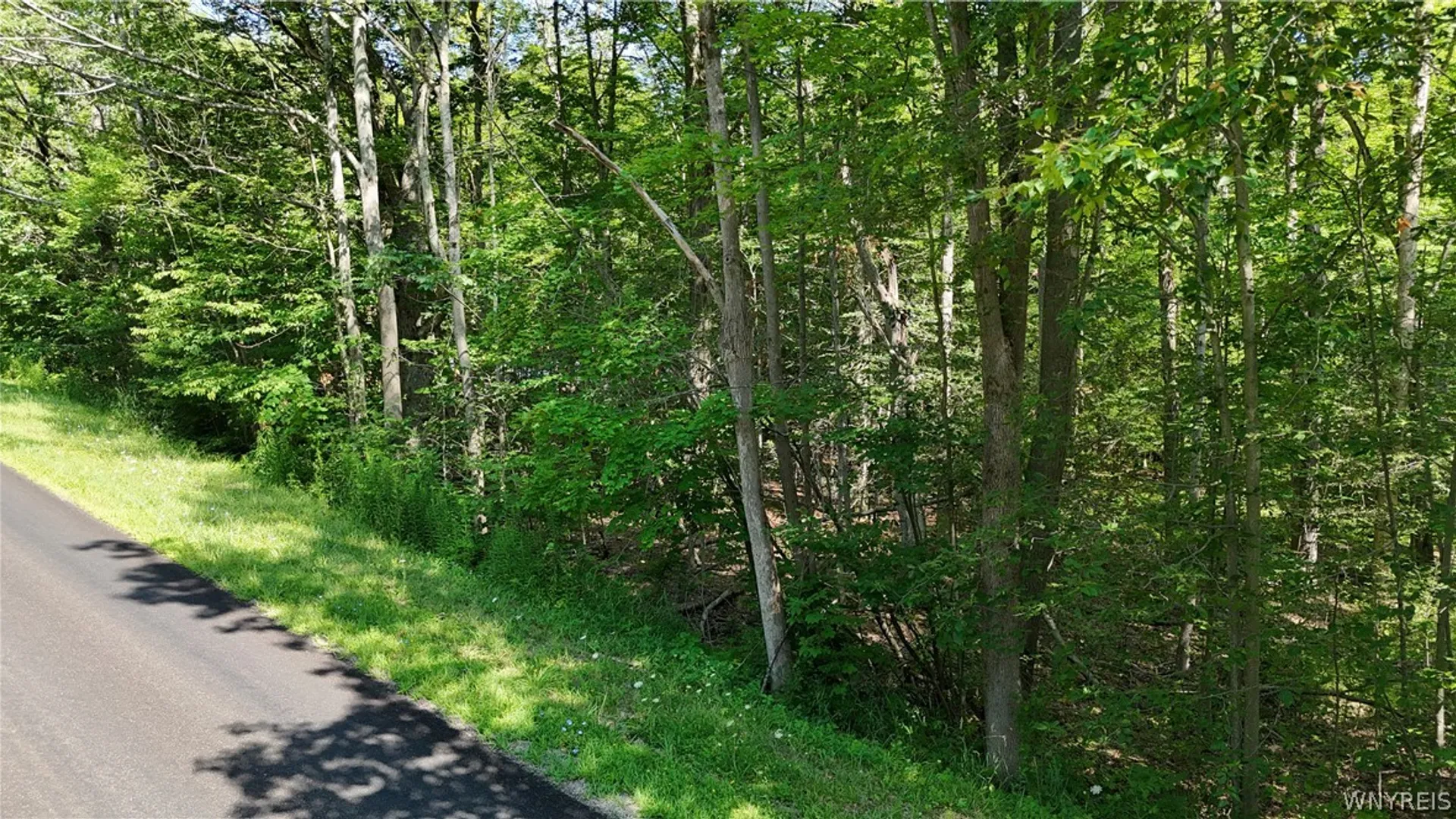 Property at Cr-49, Caneadea, NY 14717 5