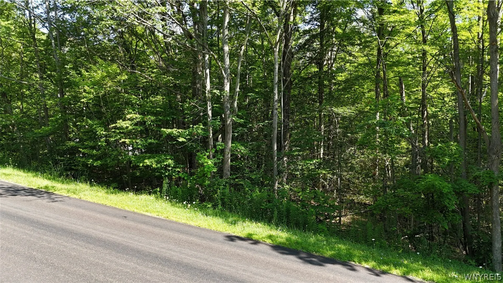 Property at Cr-49, Caneadea, NY 14717 6