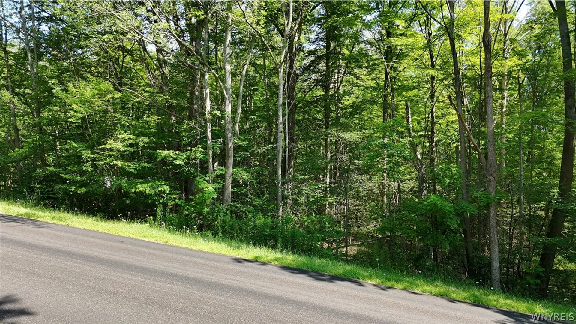 Property at Cr-49, Caneadea, NY 14717 7