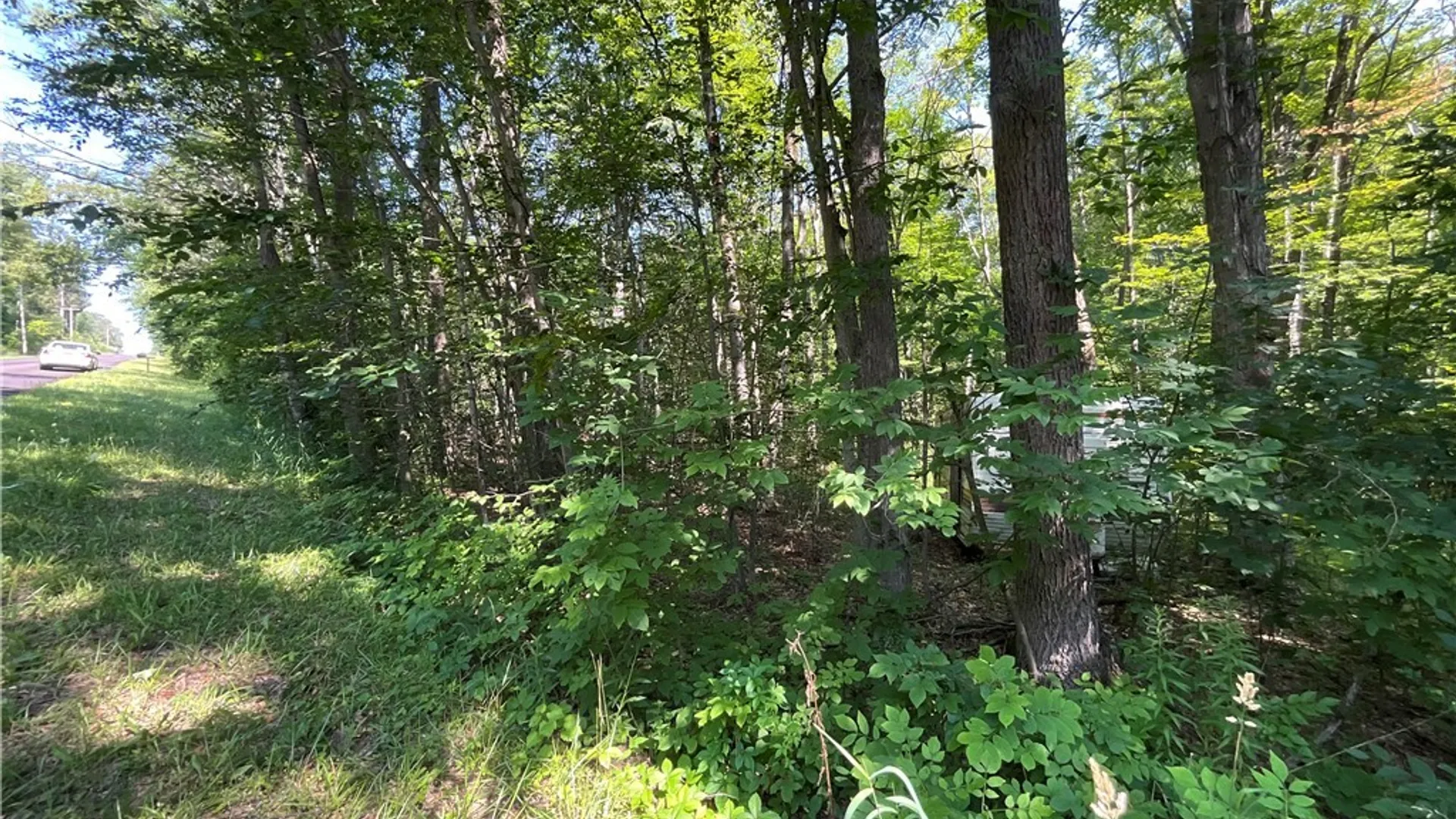 Property at Cr-49, Caneadea, NY 14717 9