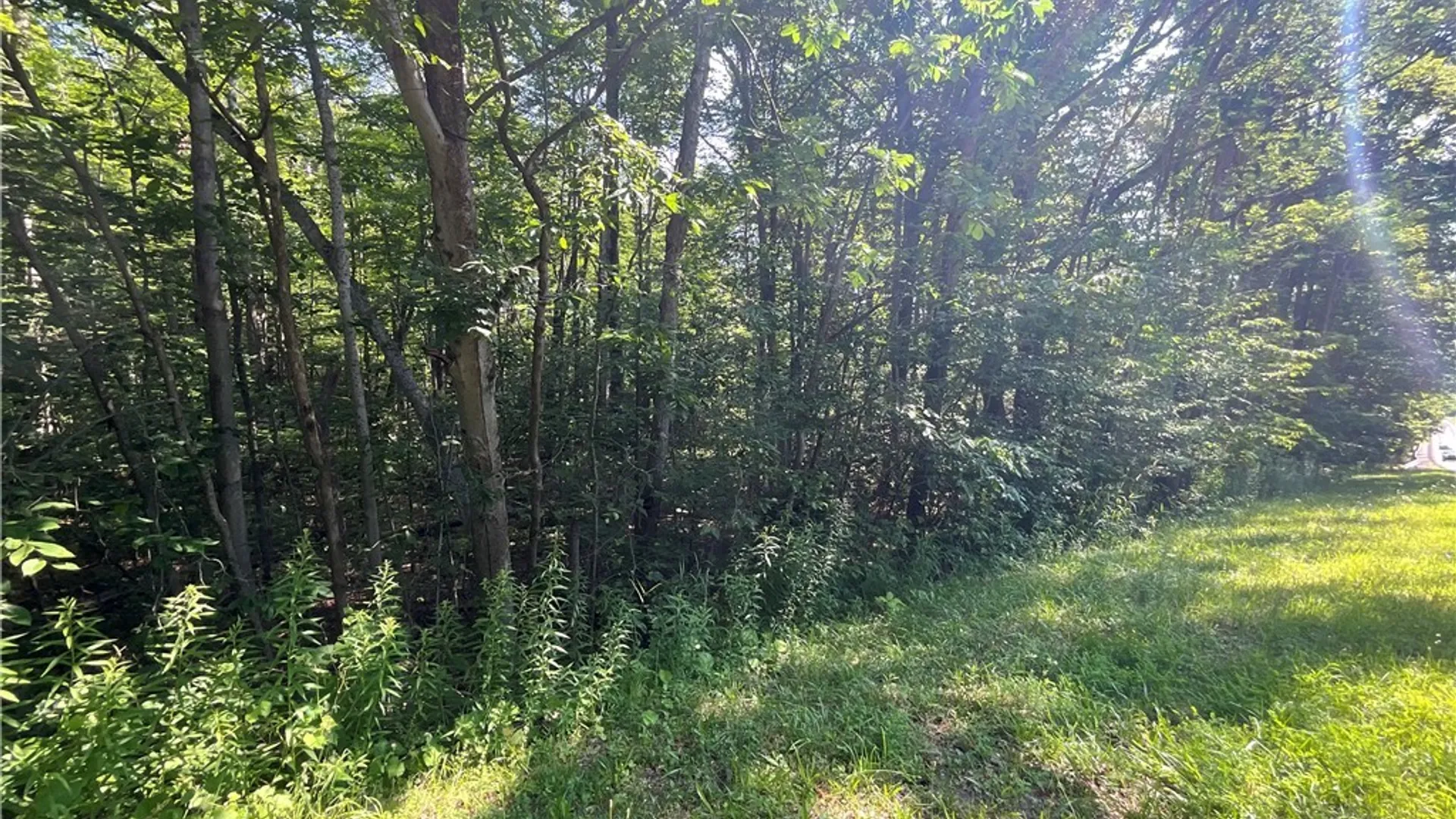 Property at Cr-49, Caneadea, NY 14717 10