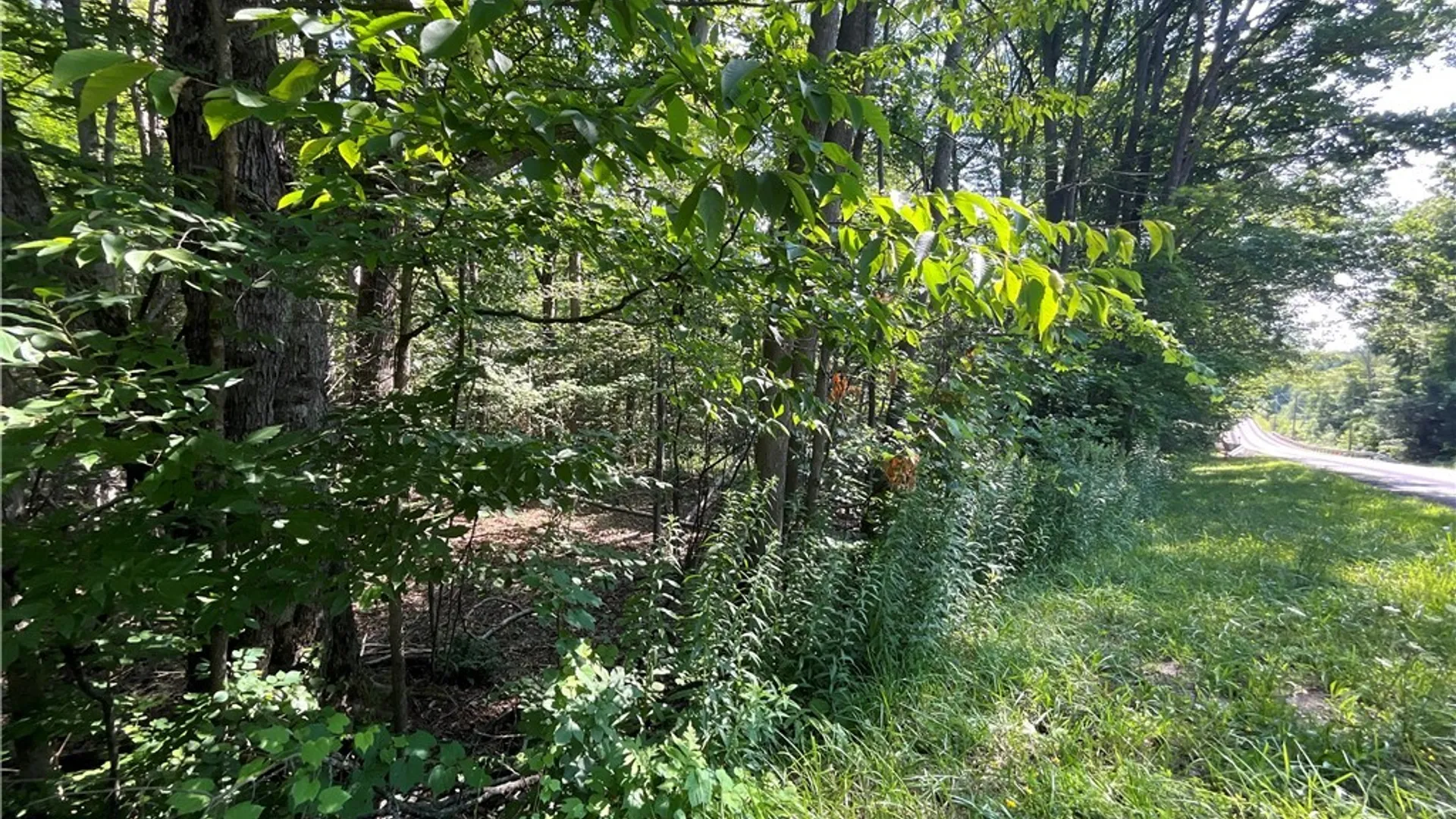 Property at Cr-49, Caneadea, NY 14717 11