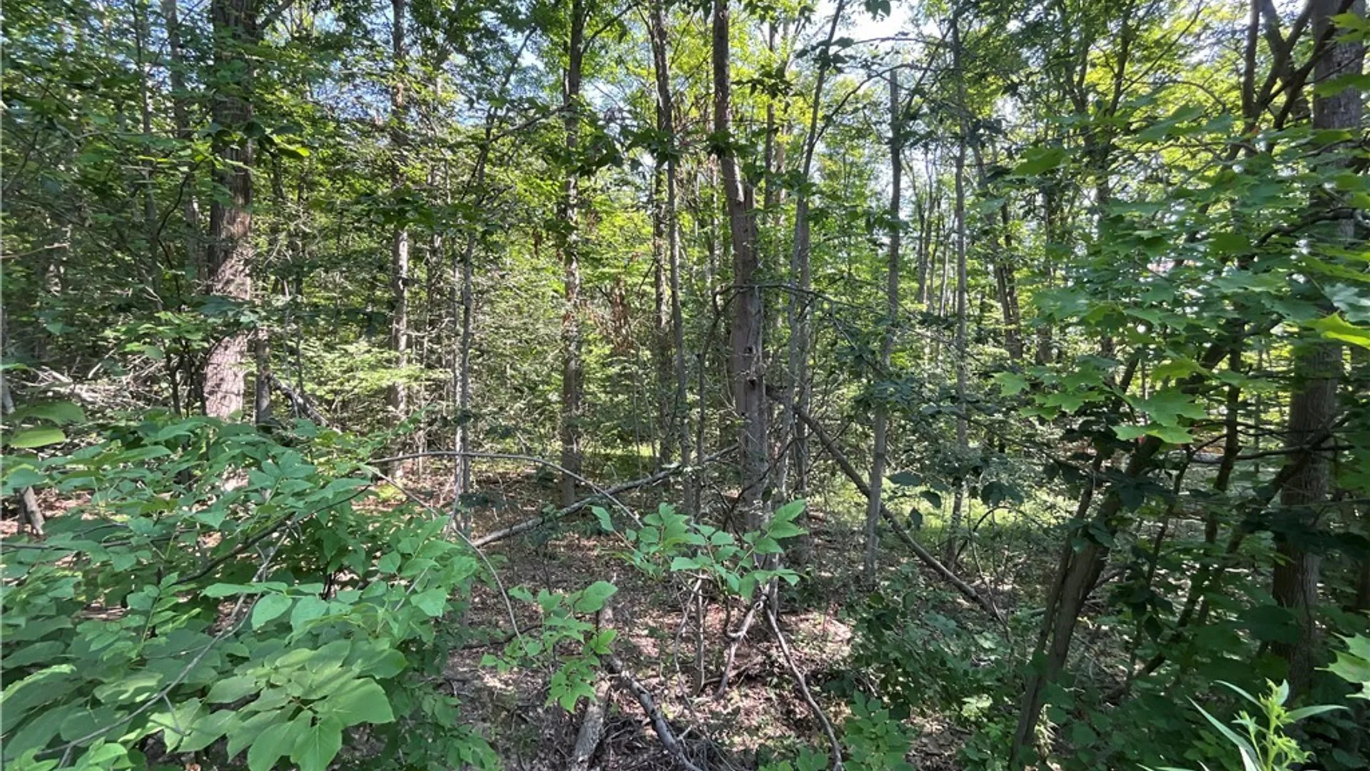 Property at Cr-49, Caneadea, NY 14717 12