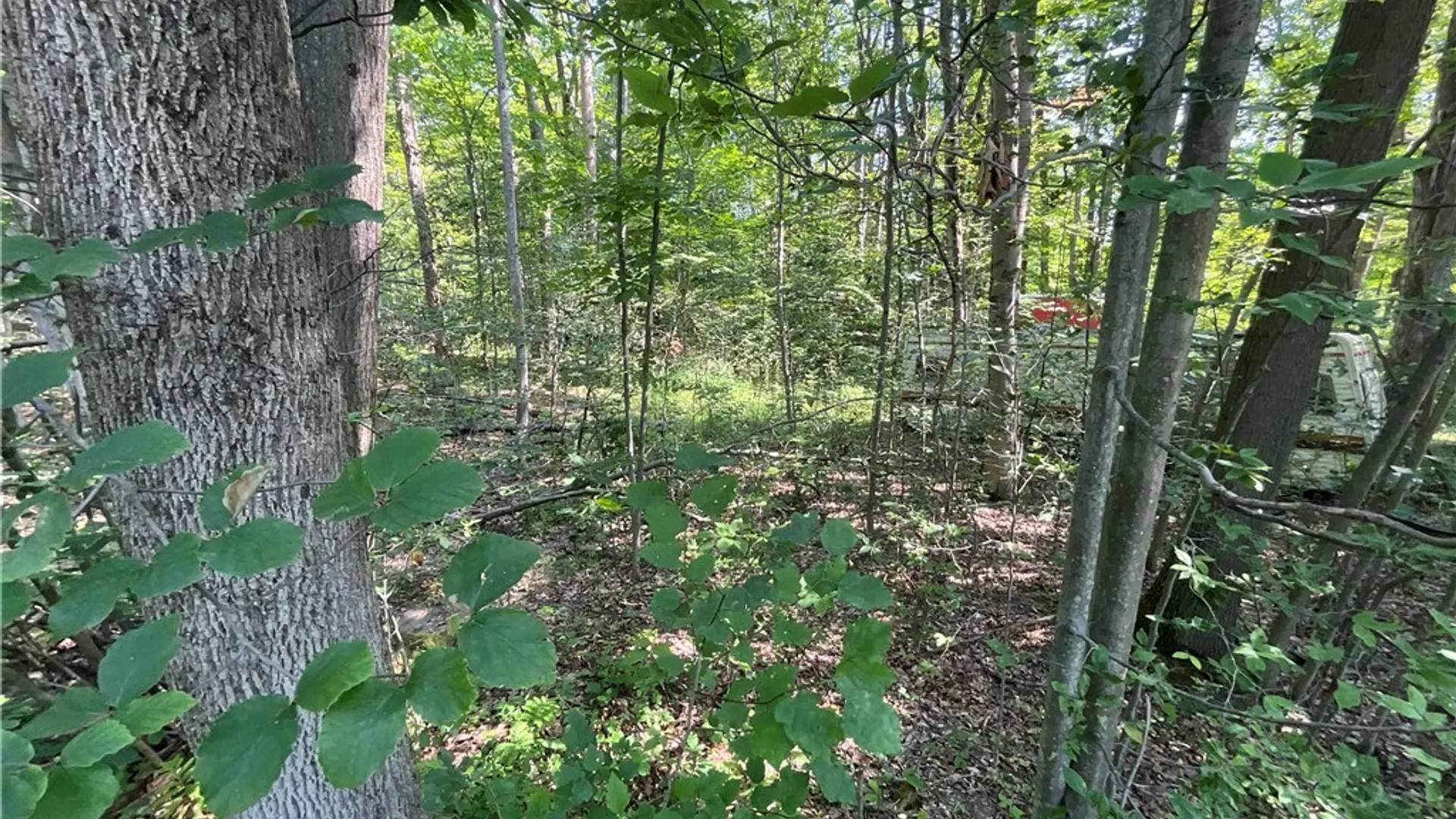 Property at Cr-49, Caneadea, NY 14717 13