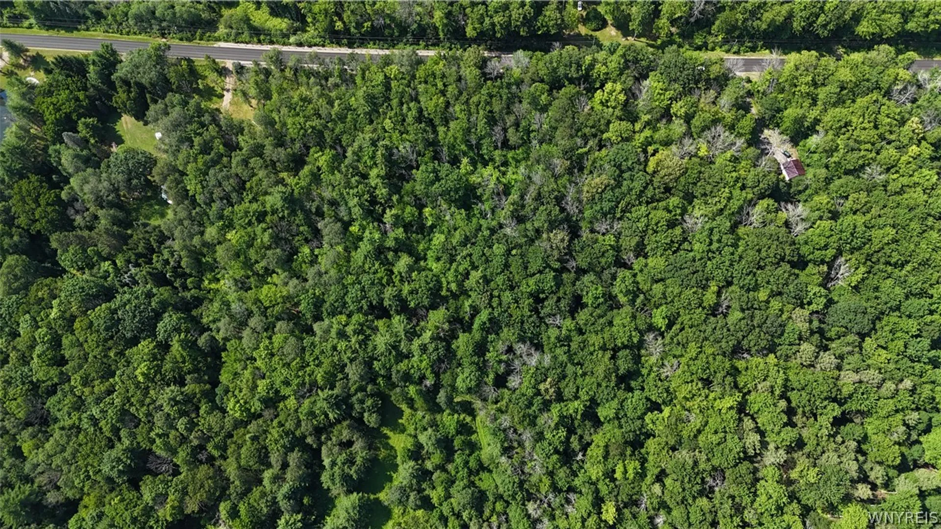 Property at Cr-49, Caneadea, NY 14717 4