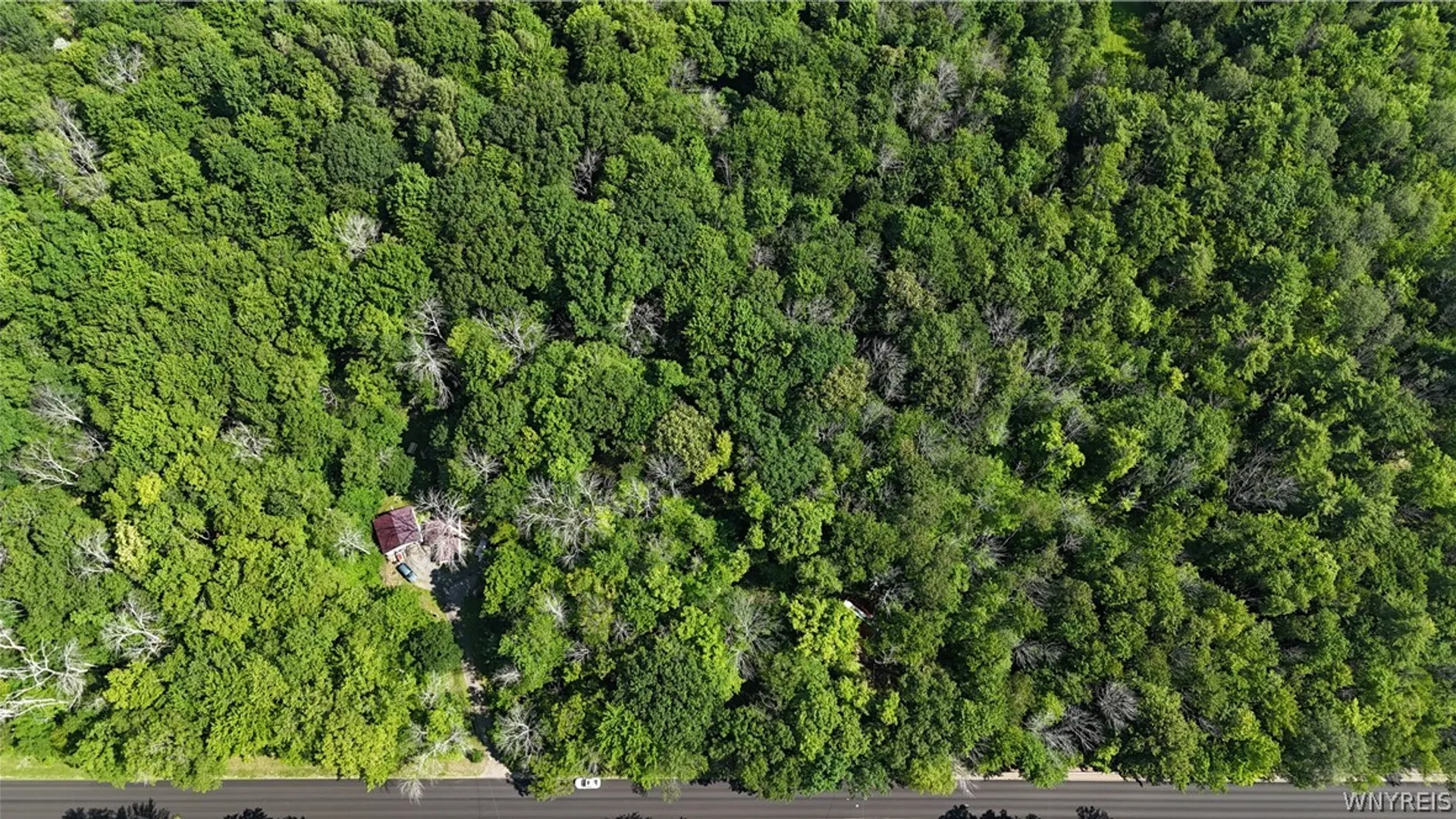 Property at Cr-49, Caneadea, NY 14717 14
