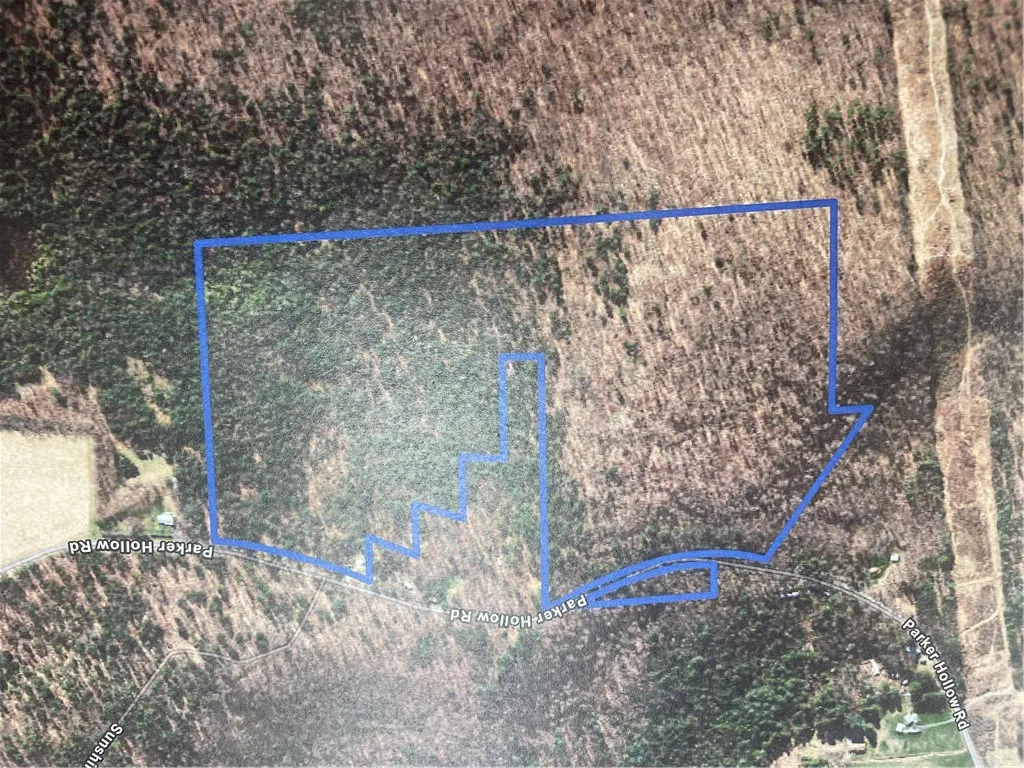 Property at Parker Hollow Road, Sidney, NY 13838