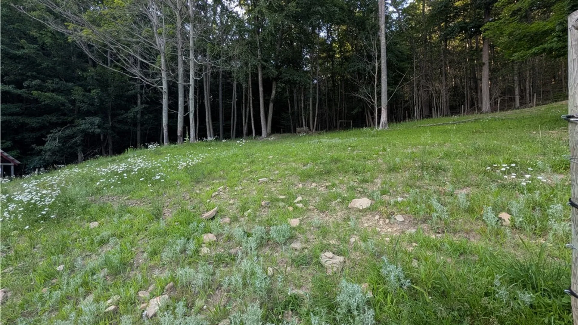 Property at 621 Looker Mountain, Foster Town, PA 16701 28