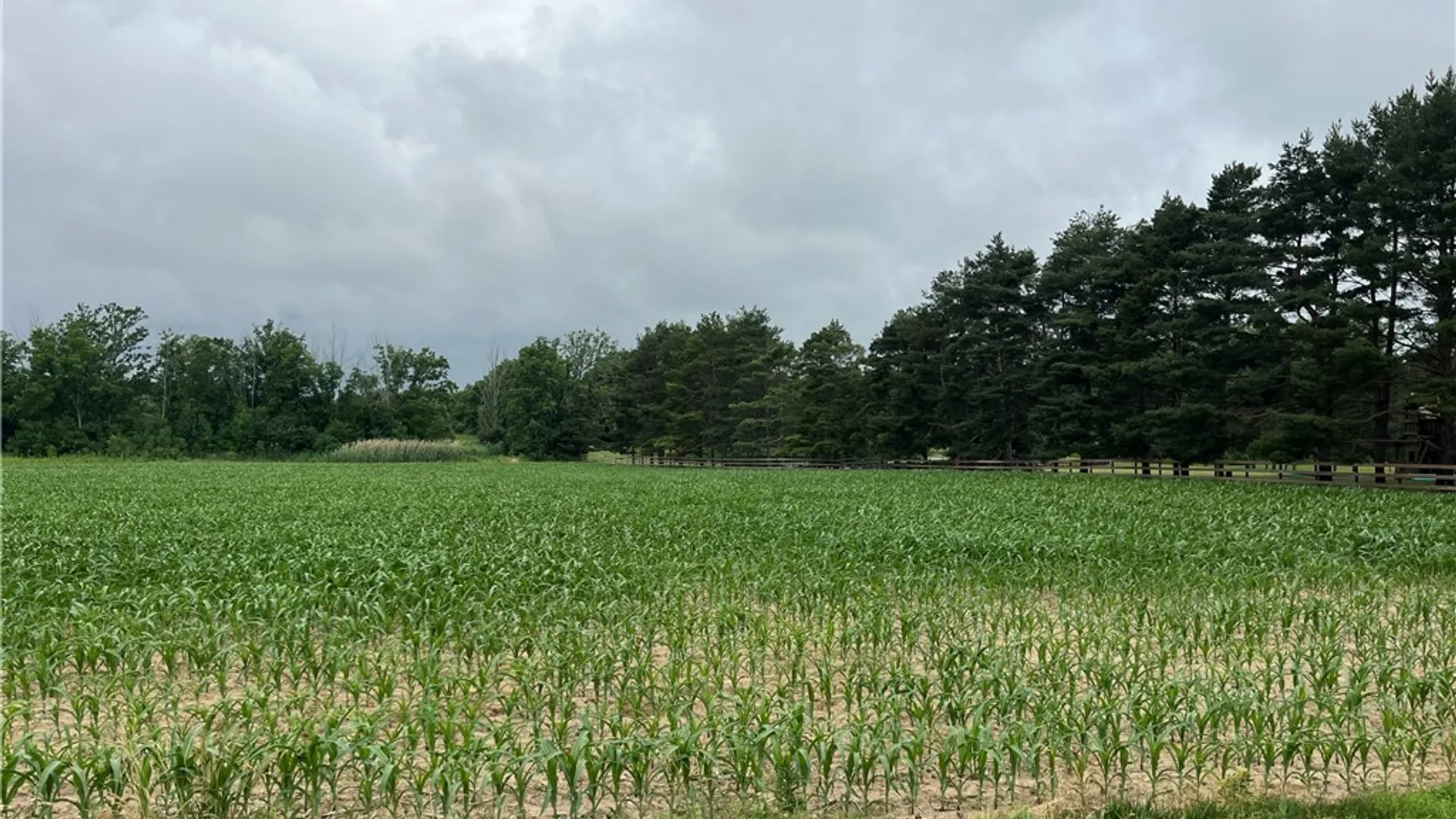 Property at North Road, Geneseo, NY 14454 2