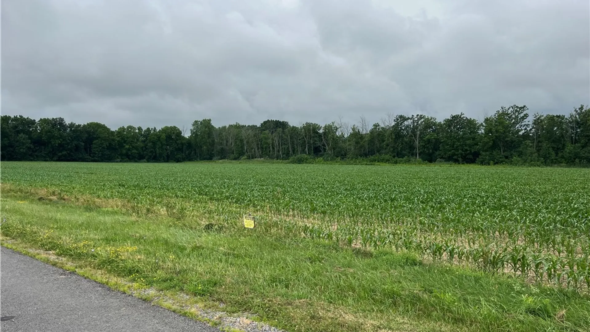 Property at North Road, Geneseo, NY 14454 3