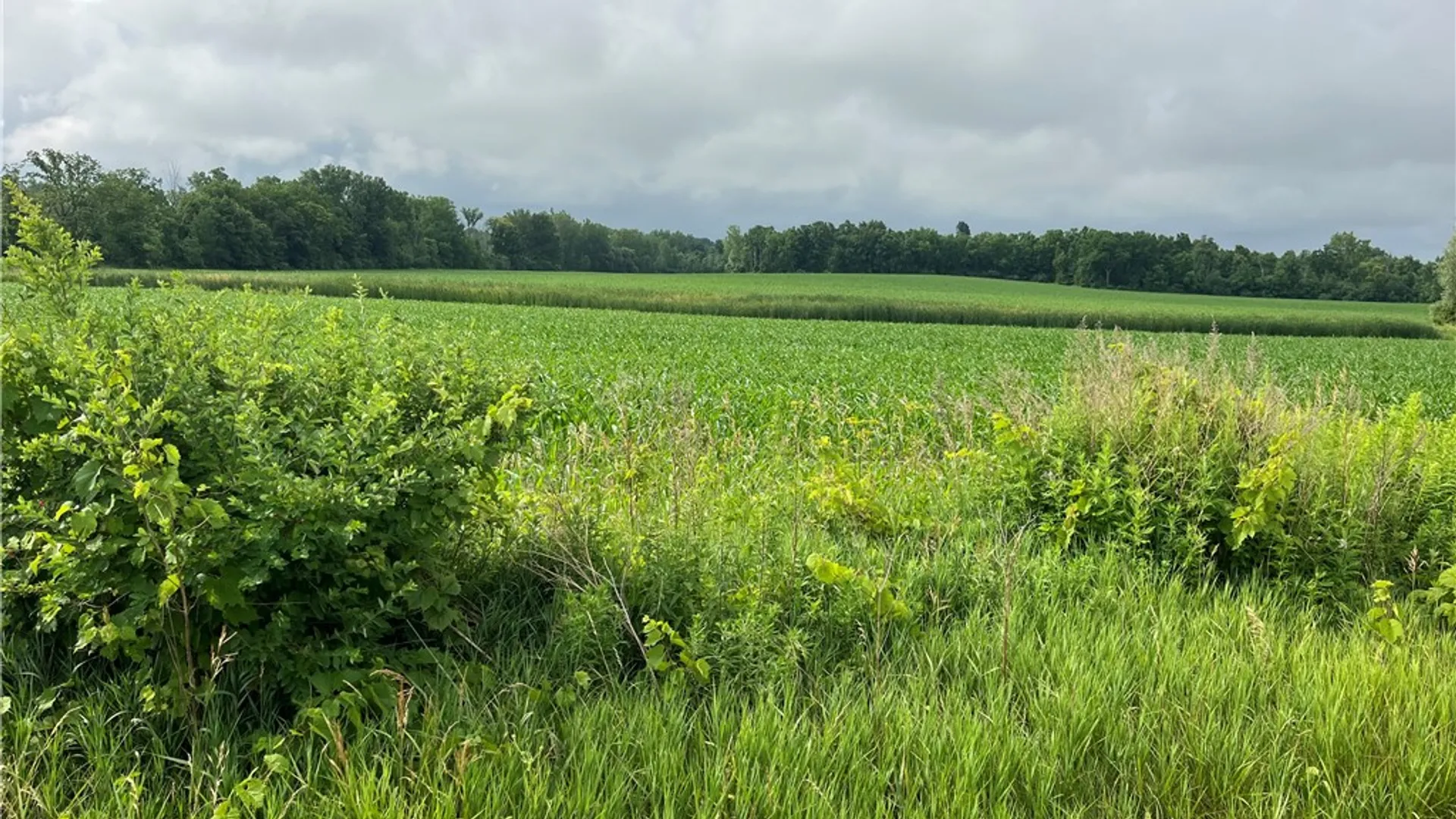 Property at Lakeville Road, Geneseo, NY 14454 3