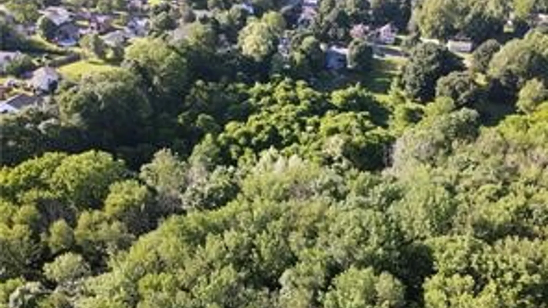 Property at 312 E Foster Street, Palmyra, NY 14522 11