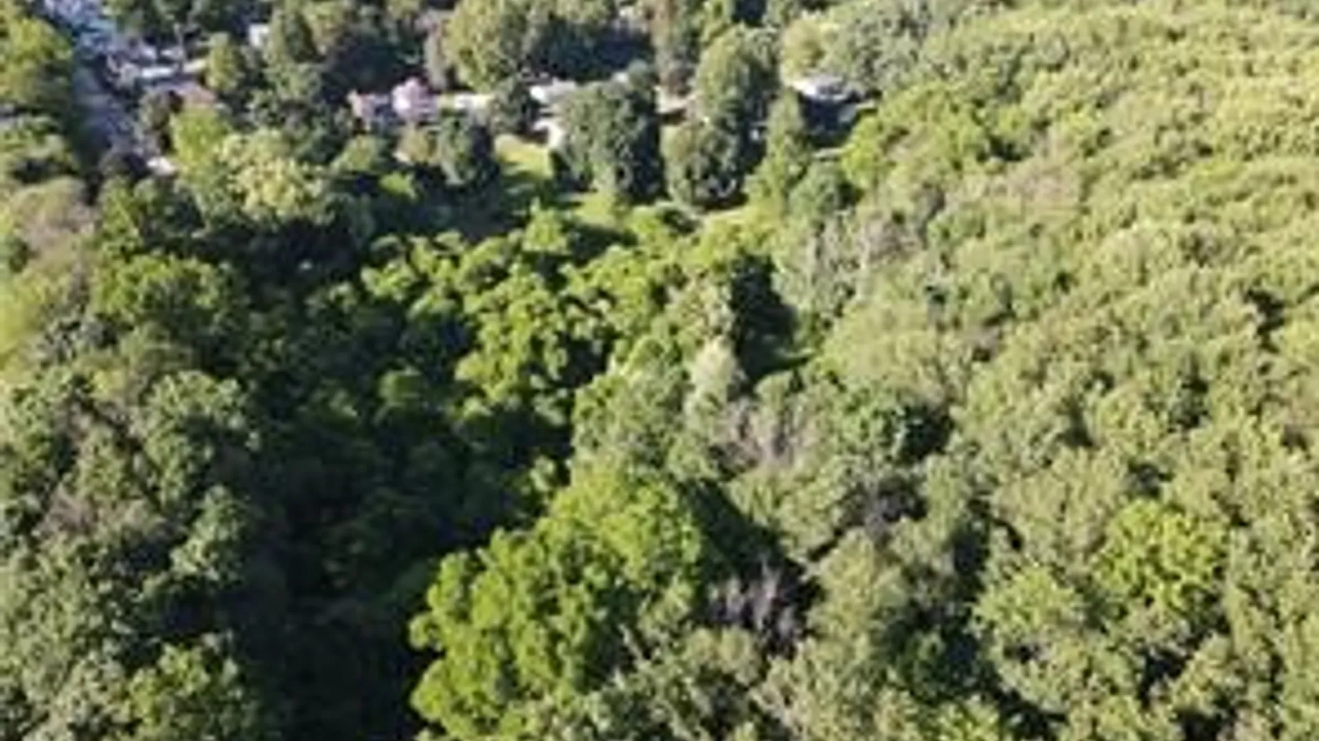 Property at 312 E Foster Street, Palmyra, NY 14522 13