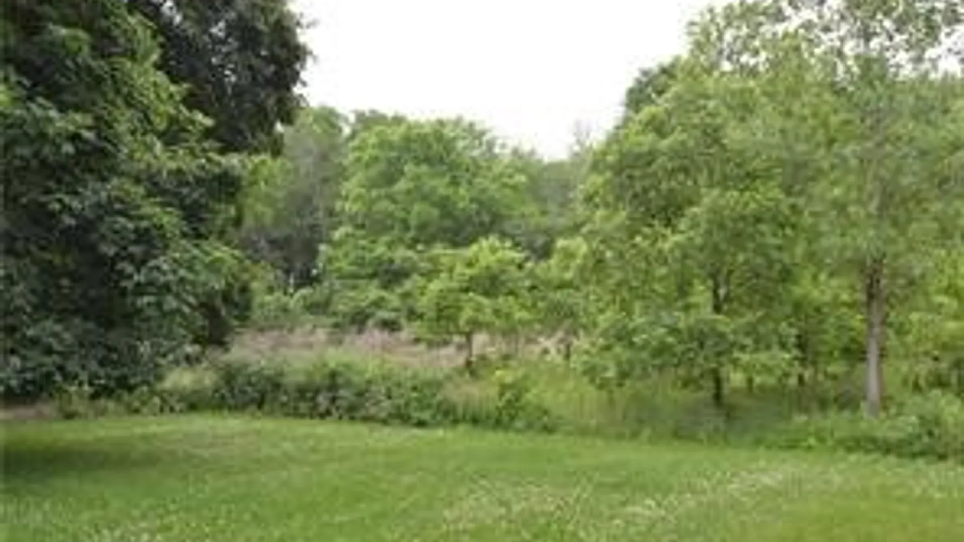 Property at 312 E Foster Street, Palmyra, NY 14522 7