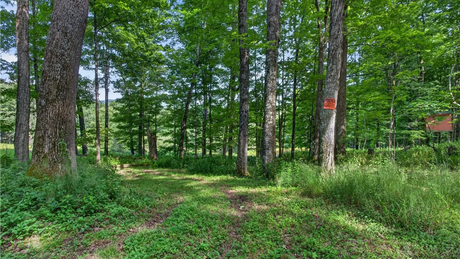 Property at 490 Terry Road, Harpersfield, NY 12167 35