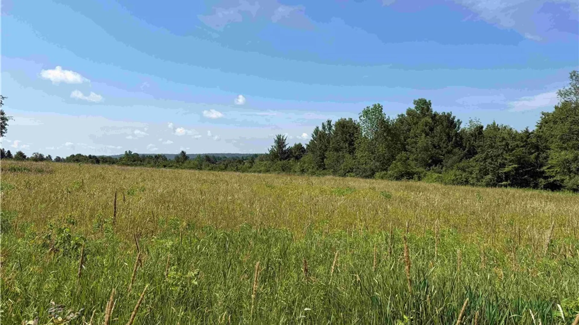 Property at 2771 Route 76, Sherman, NY 14781 45
