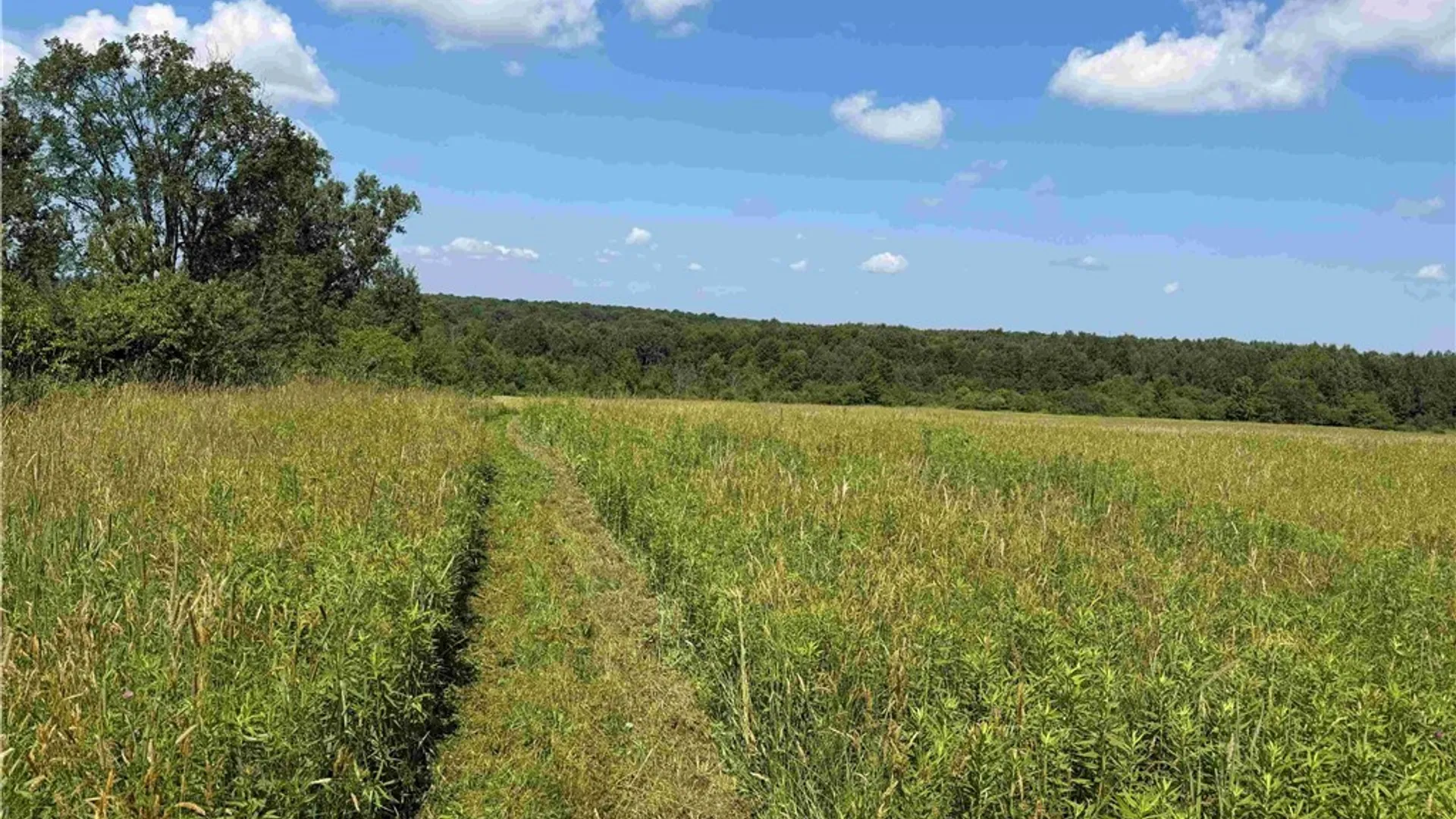 Property at 2771 Route 76, Sherman, NY 14781 46