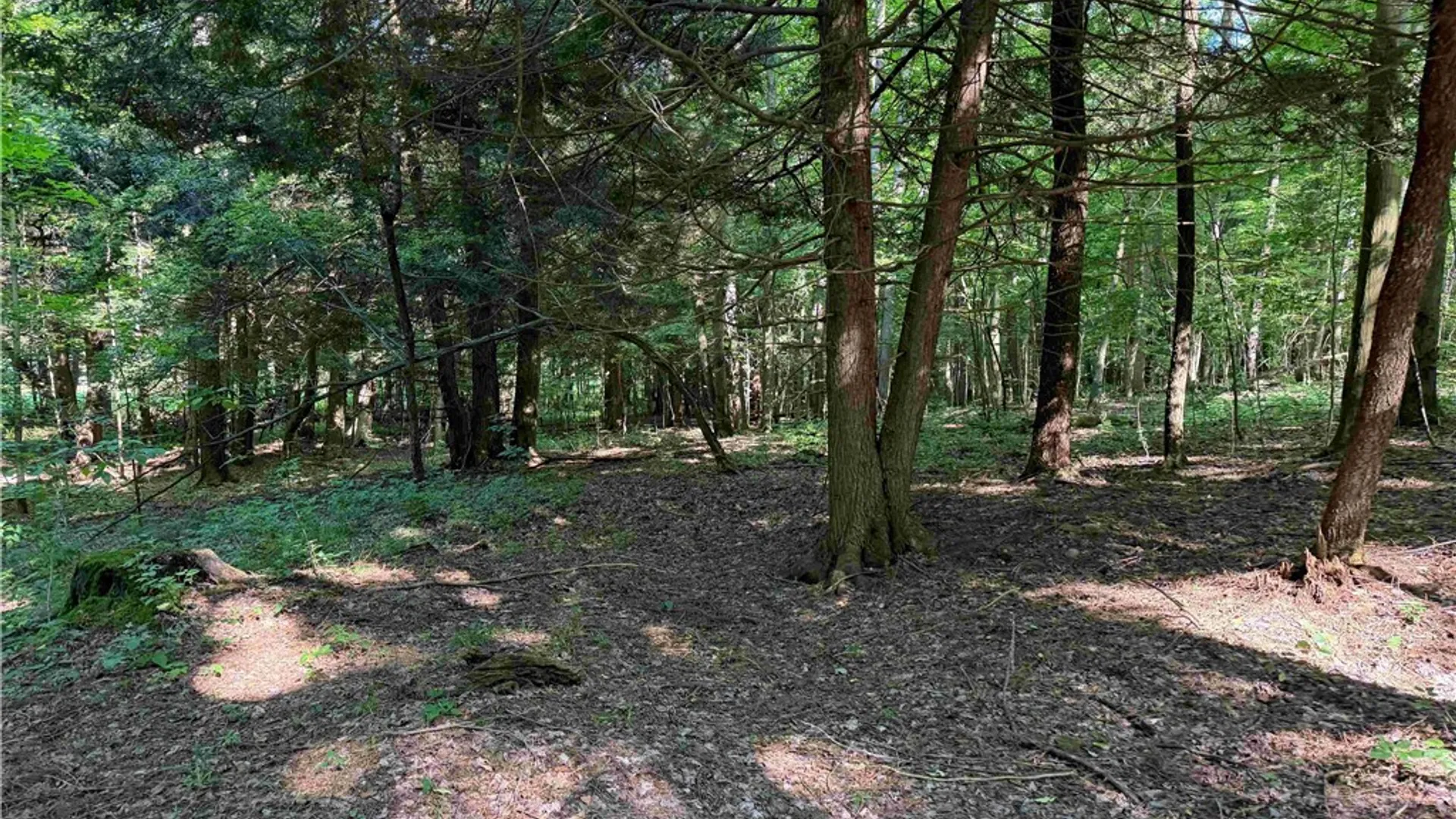 Property at 2771 Route 76, Sherman, NY 14781 36