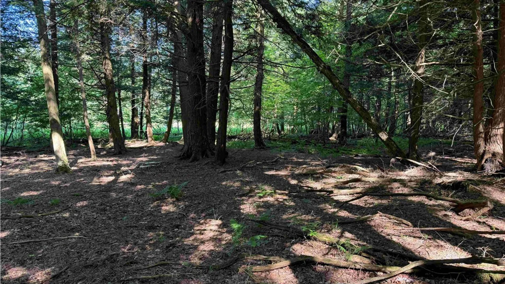 Property at 2771 Route 76, Sherman, NY 14781 37