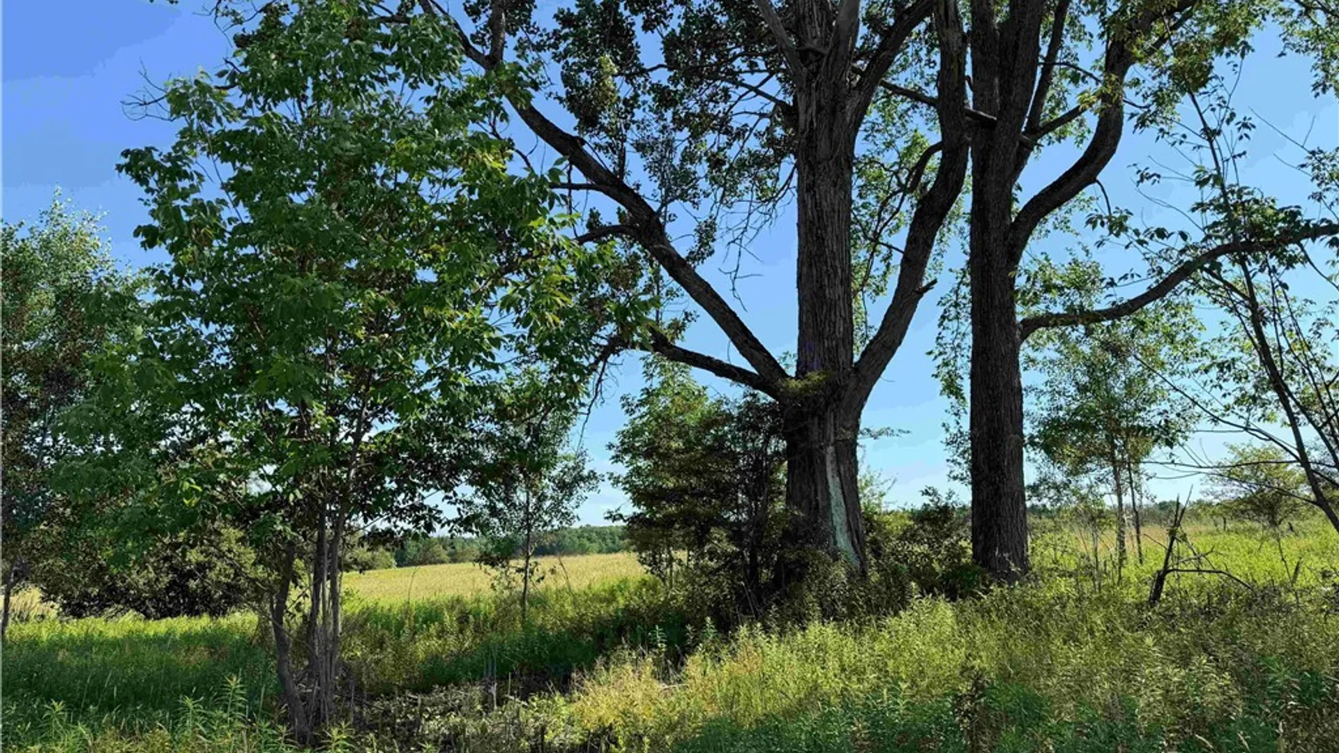Property at 2771 Route 76, Sherman, NY 14781 38