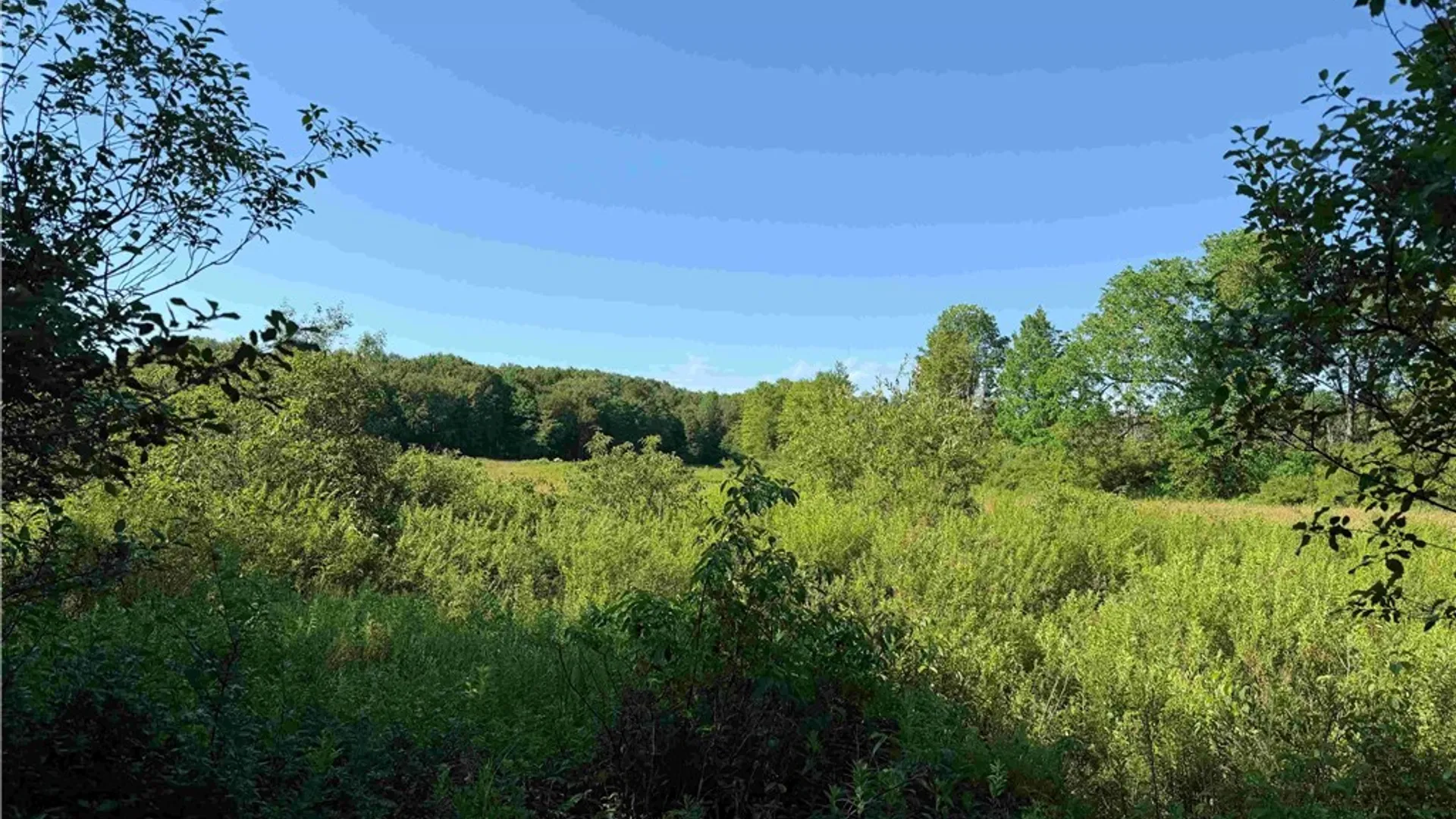 Property at 2771 Route 76, Sherman, NY 14781 39