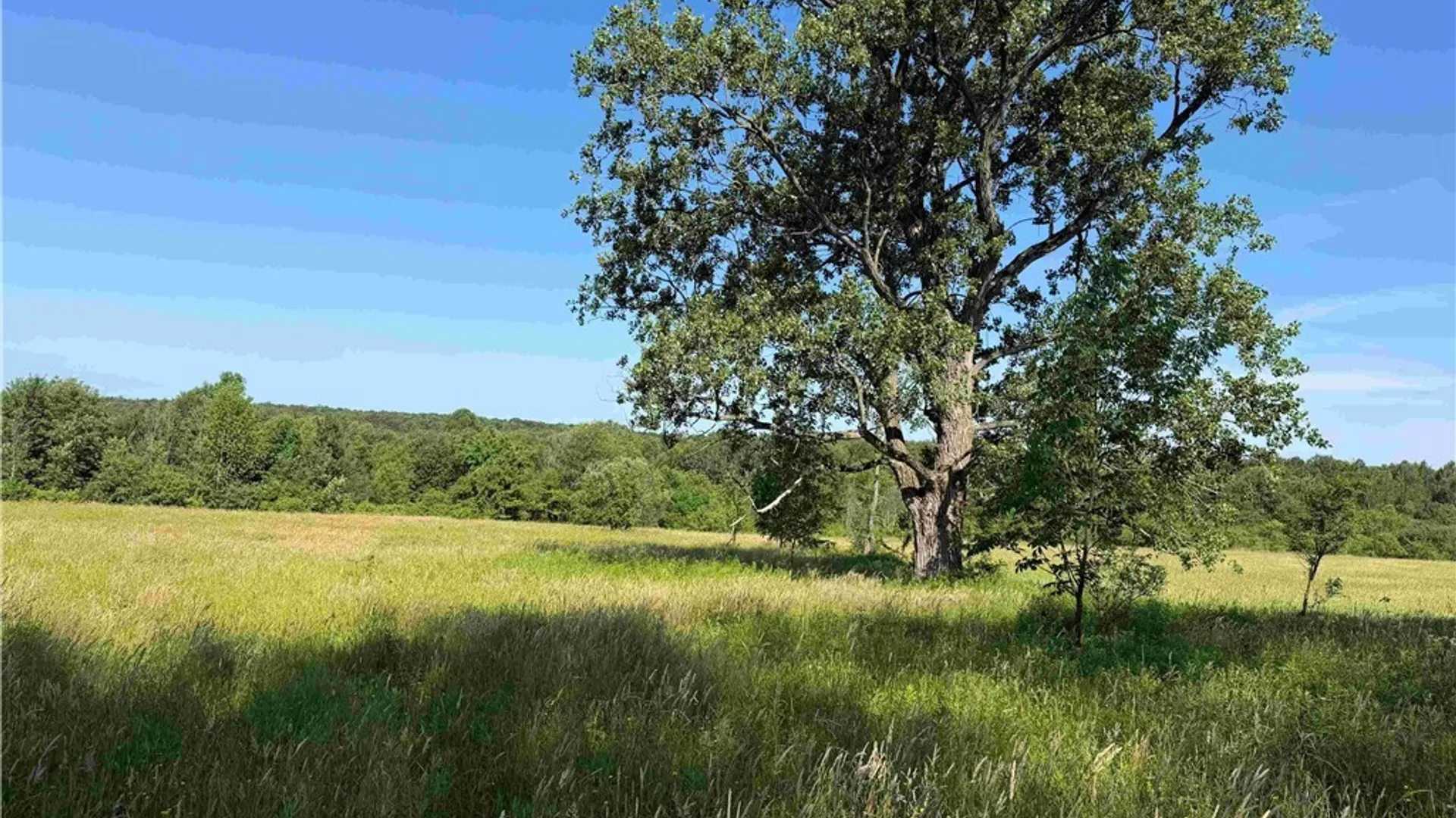 Property at 2771 Route 76, Sherman, NY 14781 40