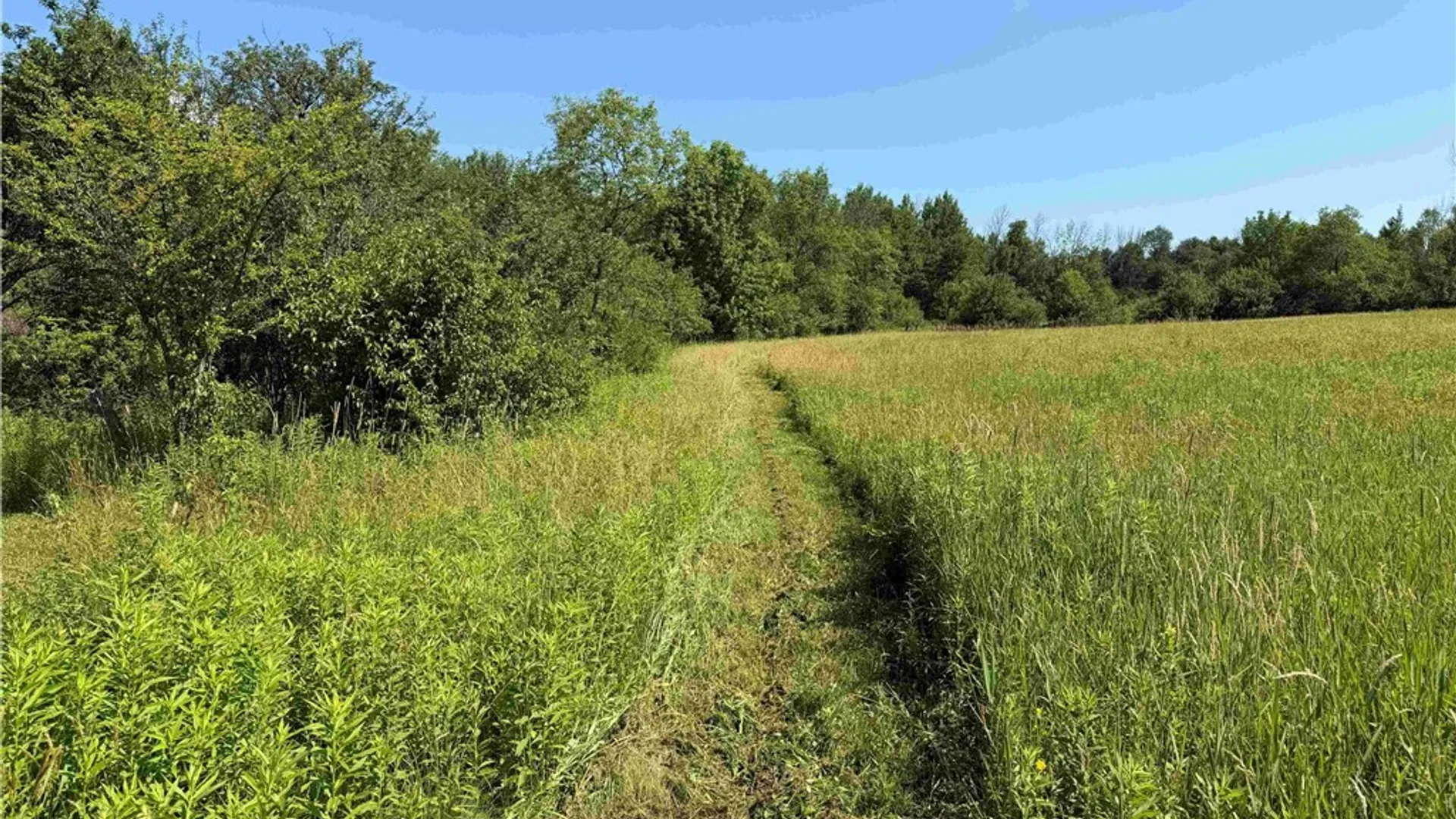 Property at 2771 Route 76, Sherman, NY 14781 41