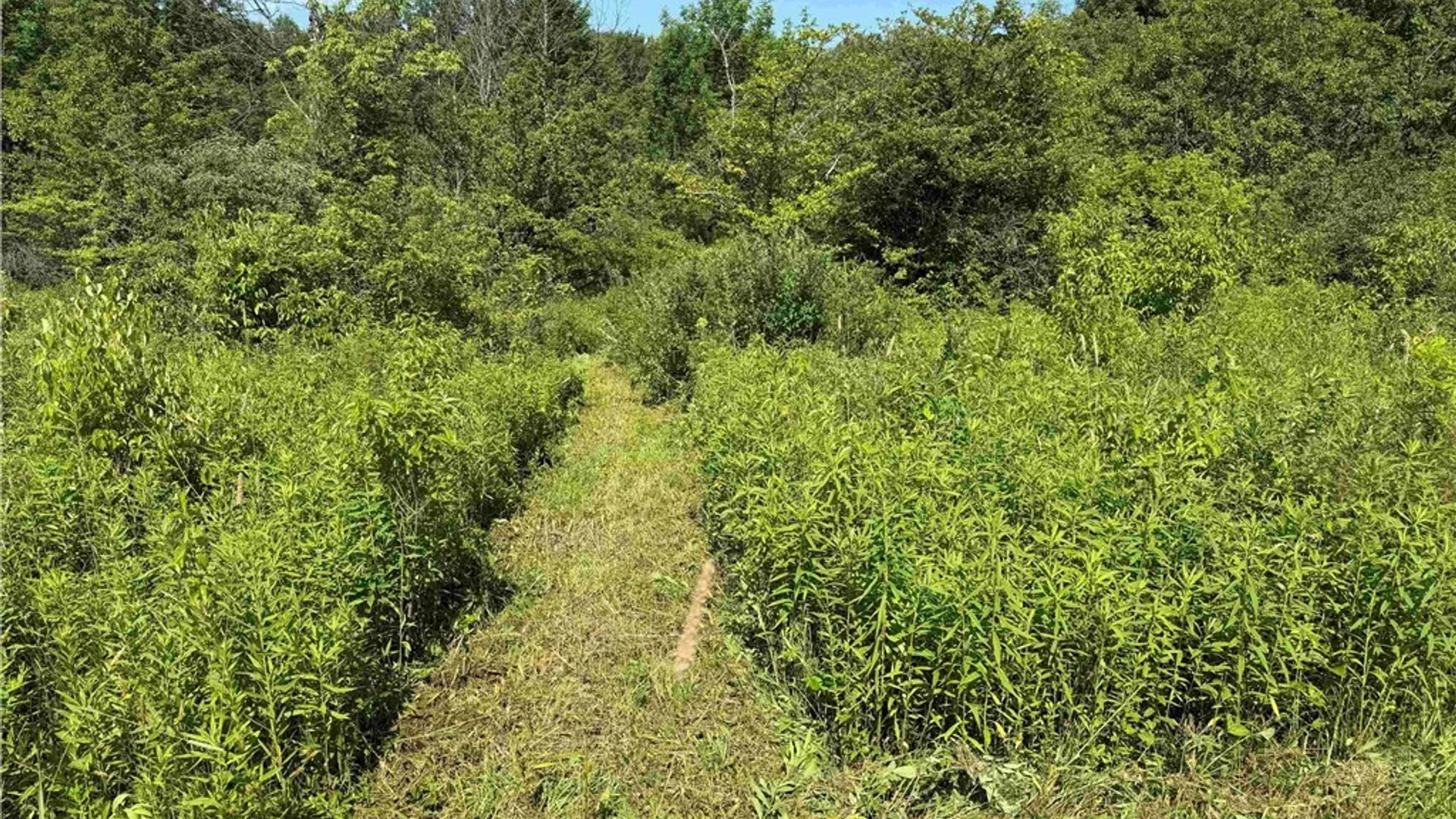 Property at 2771 Route 76, Sherman, NY 14781 42