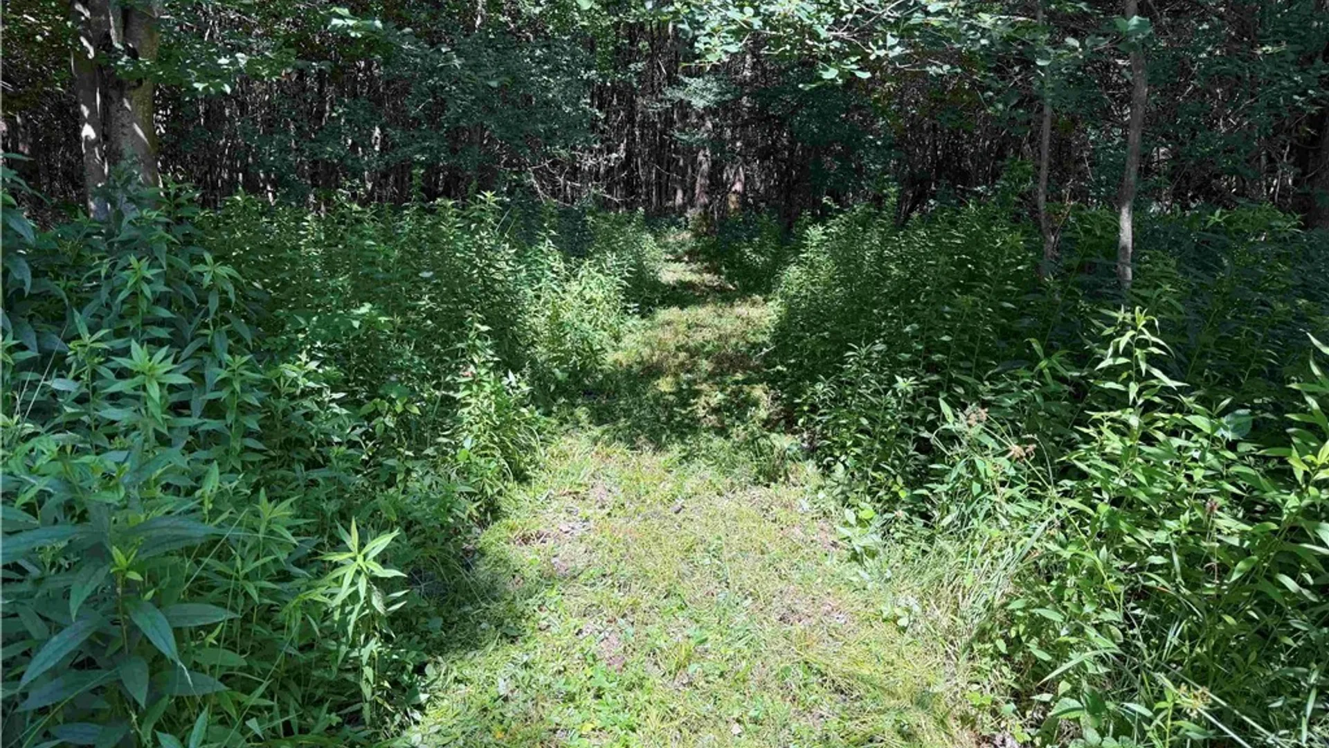 Property at 2771 Route 76, Sherman, NY 14781 43