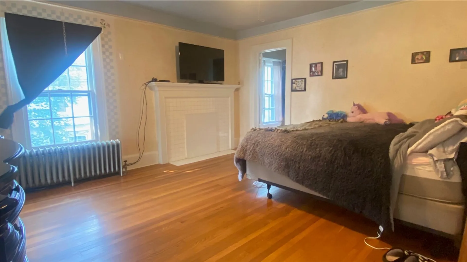 Property at 346 Main Street, Milo, NY 14527 28