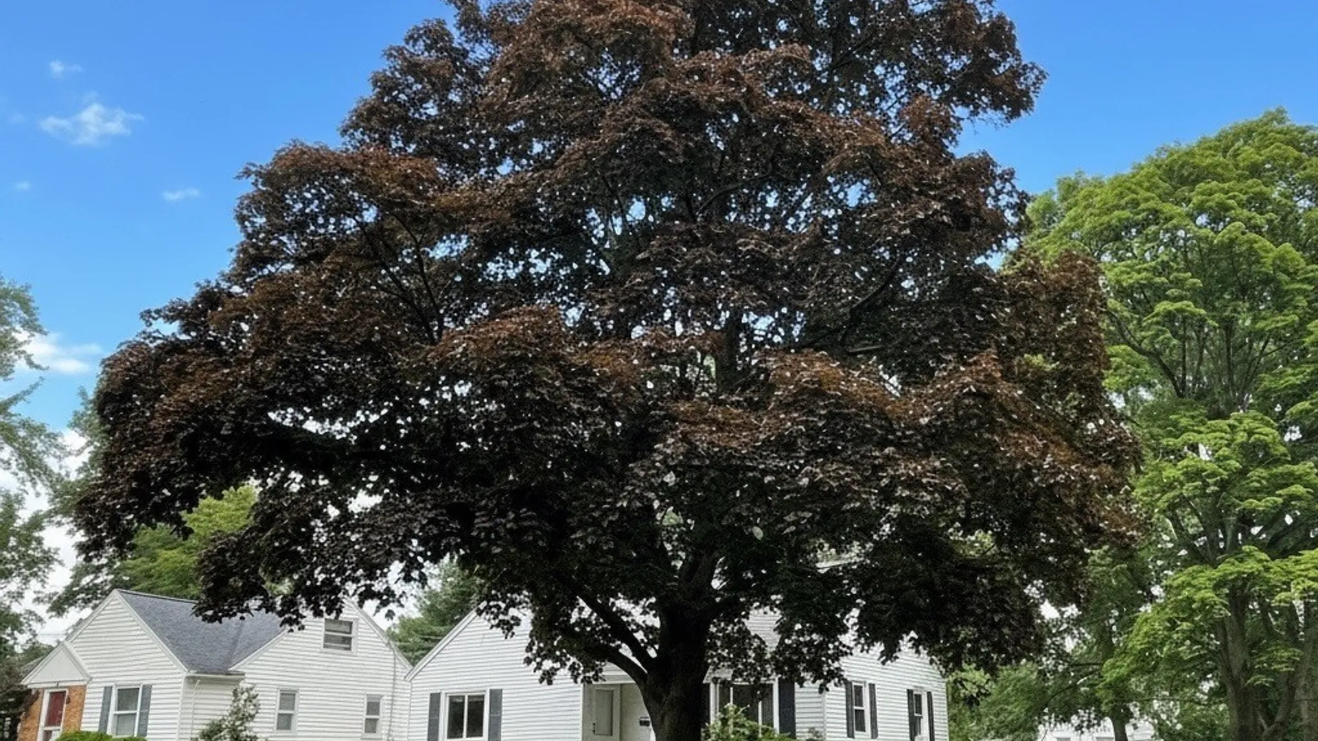 Property at 112 Clarington Street, Irondequoit, NY 14609 3