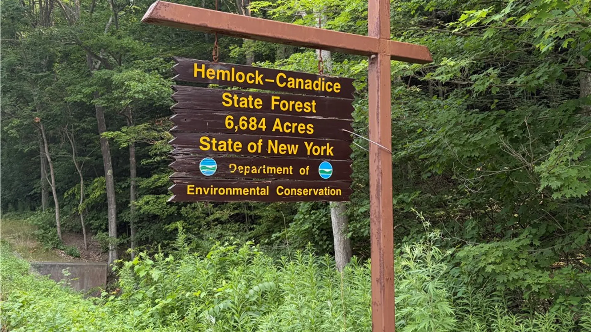Property at 6595 State Route 15a, Canadice, NY 14560 45