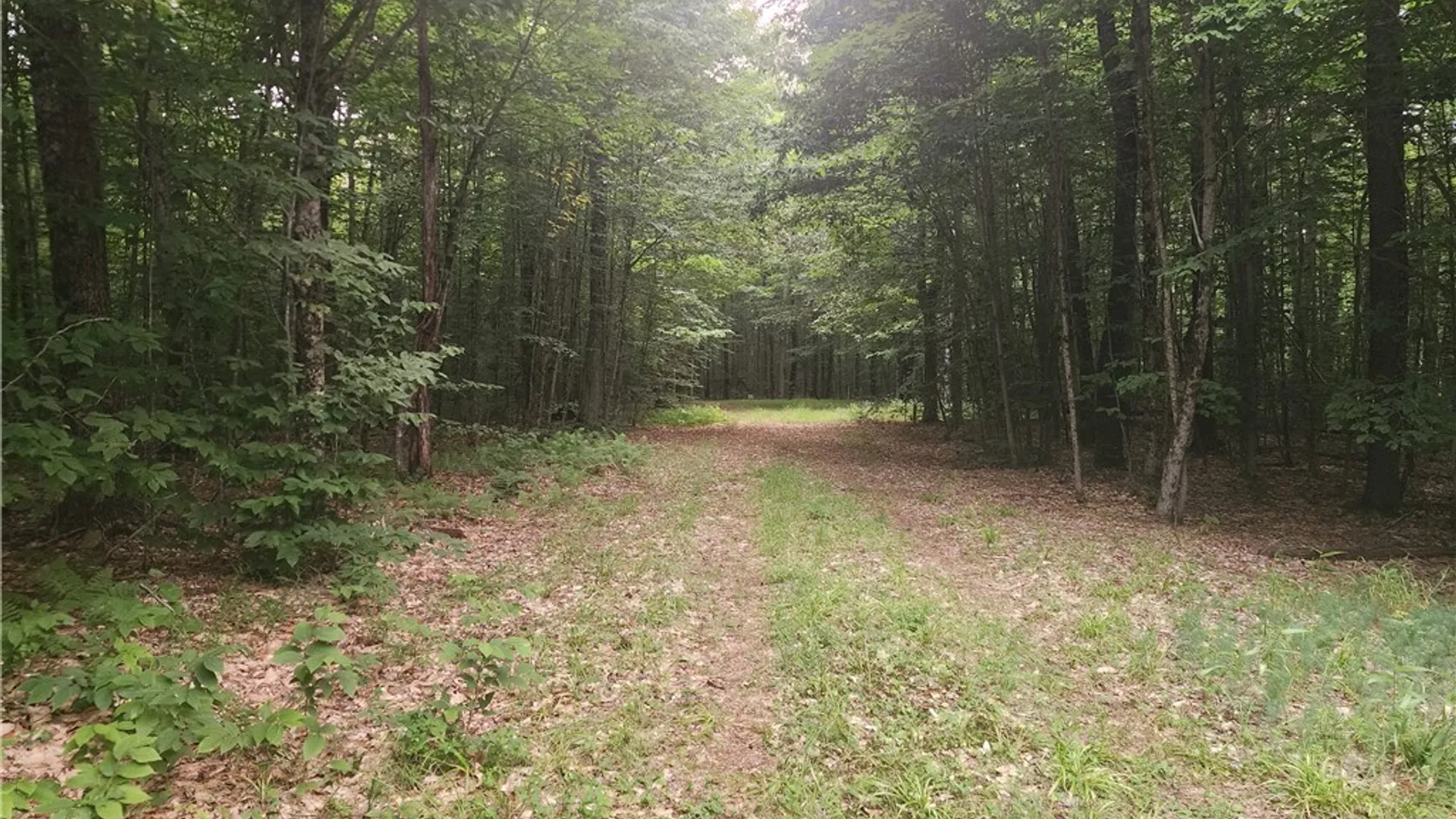 Property at Soft Maple Road, Croghan, NY 13327 2