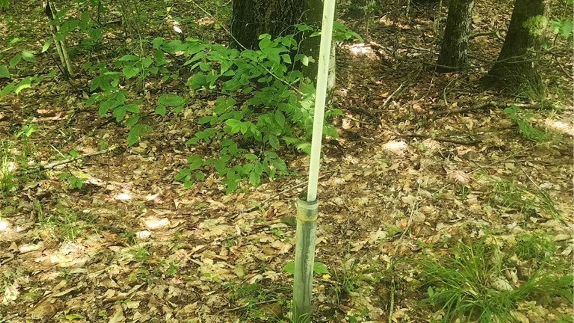 Property at Soft Maple Road, Croghan, NY 13327 9