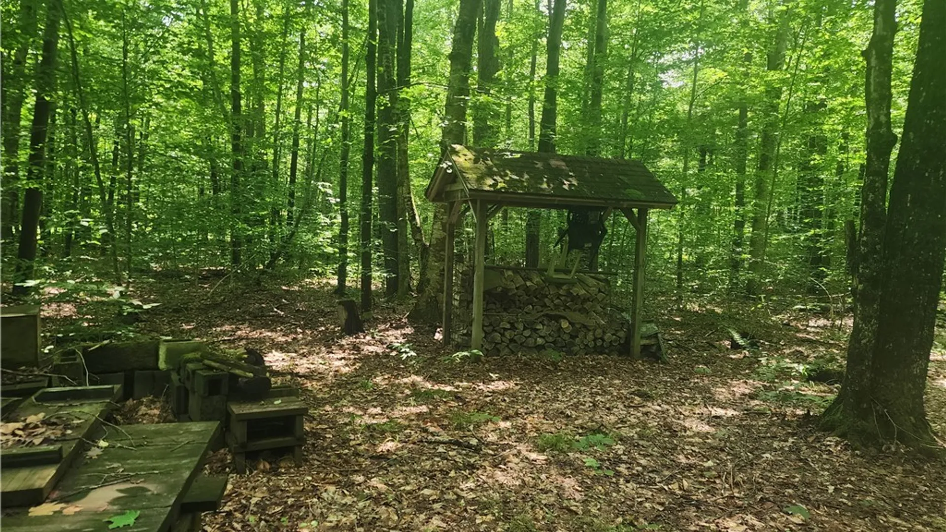 Property at Soft Maple Road, Croghan, NY 13327 3