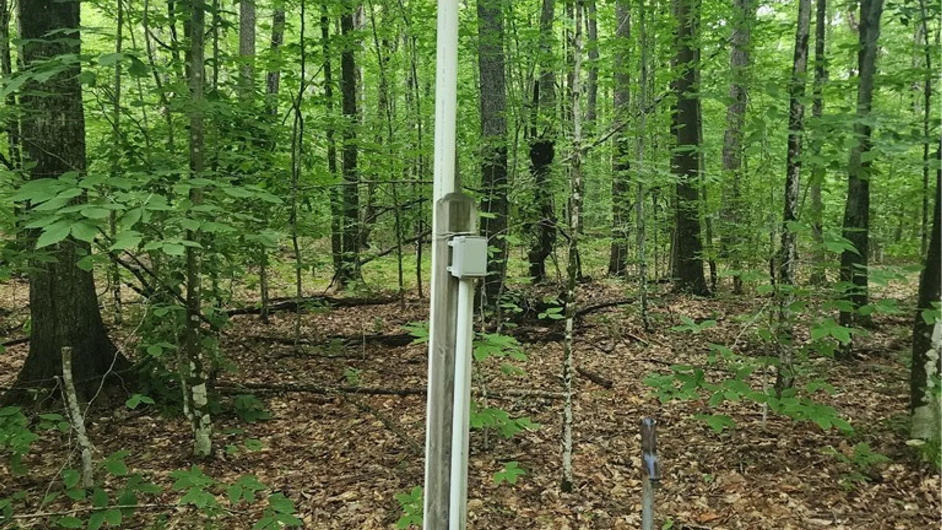 Property at Soft Maple Road, Croghan, NY 13327 4