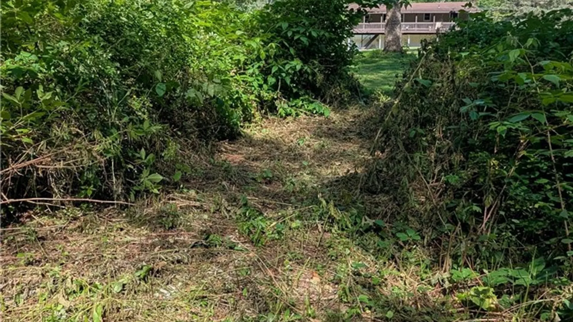 Property at 725 State Highway 205, Oneonta, NY 13820 10