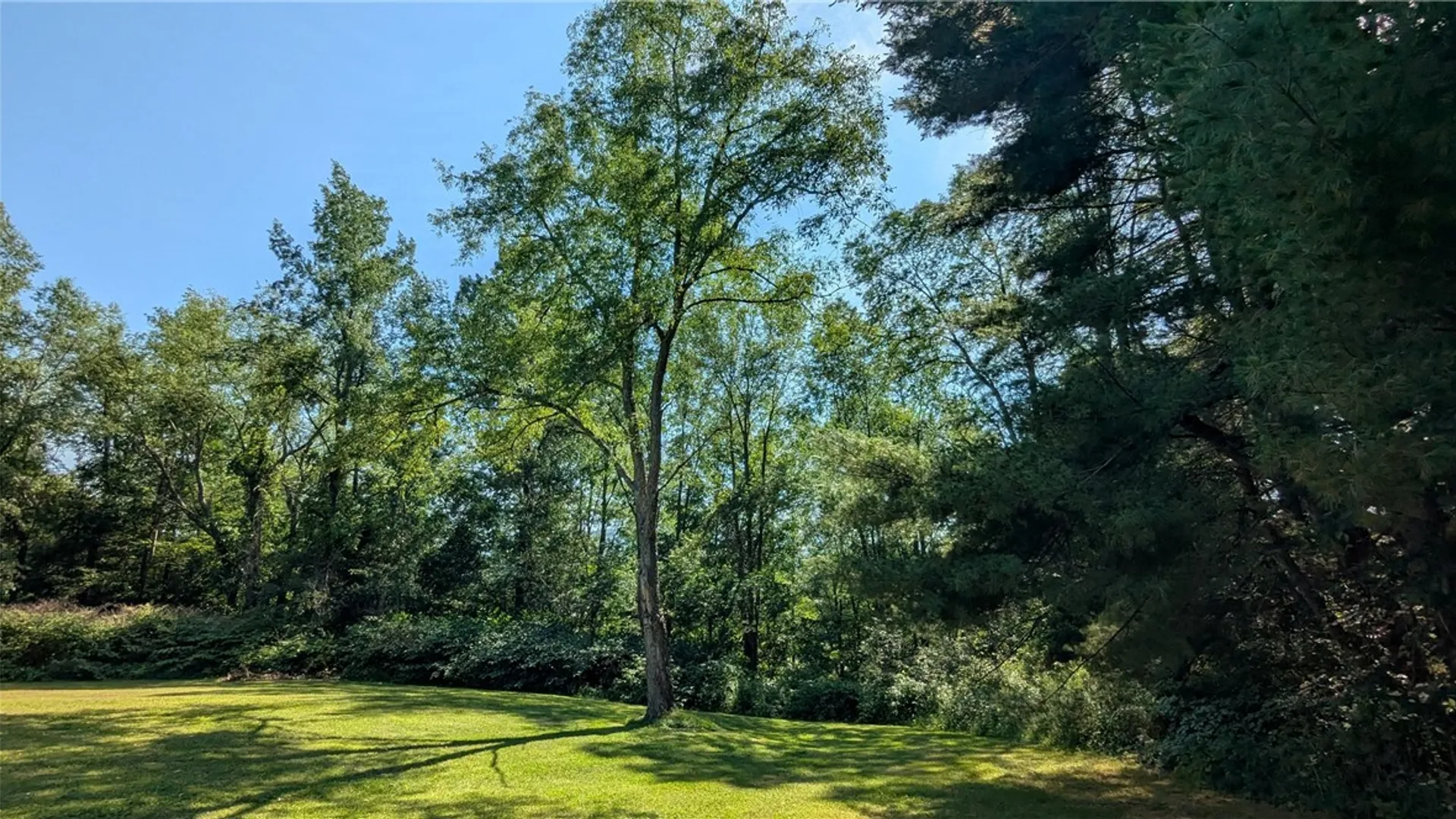 Property at 725 State Highway 205, Oneonta, NY 13820 8