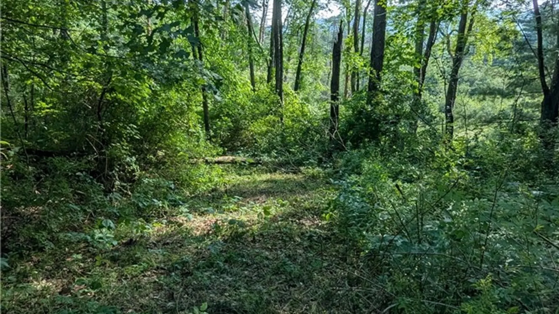Property at 725 State Highway 205, Oneonta, NY 13820 9
