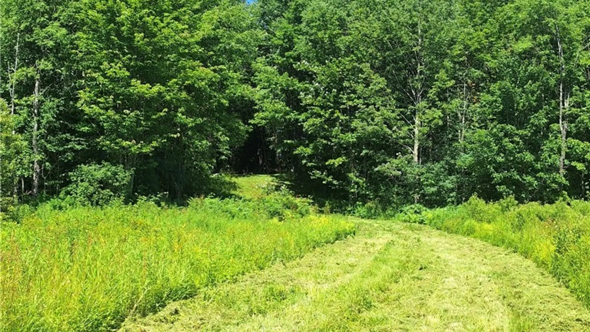 Property at 6 Streiff Road, Ava, NY 13303 3