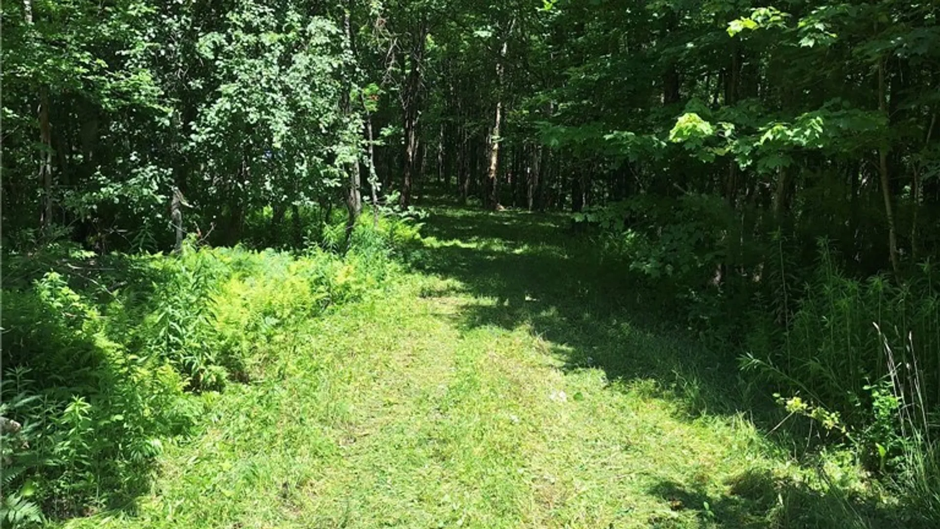 Property at 6 Streiff Road, Ava, NY 13303 4