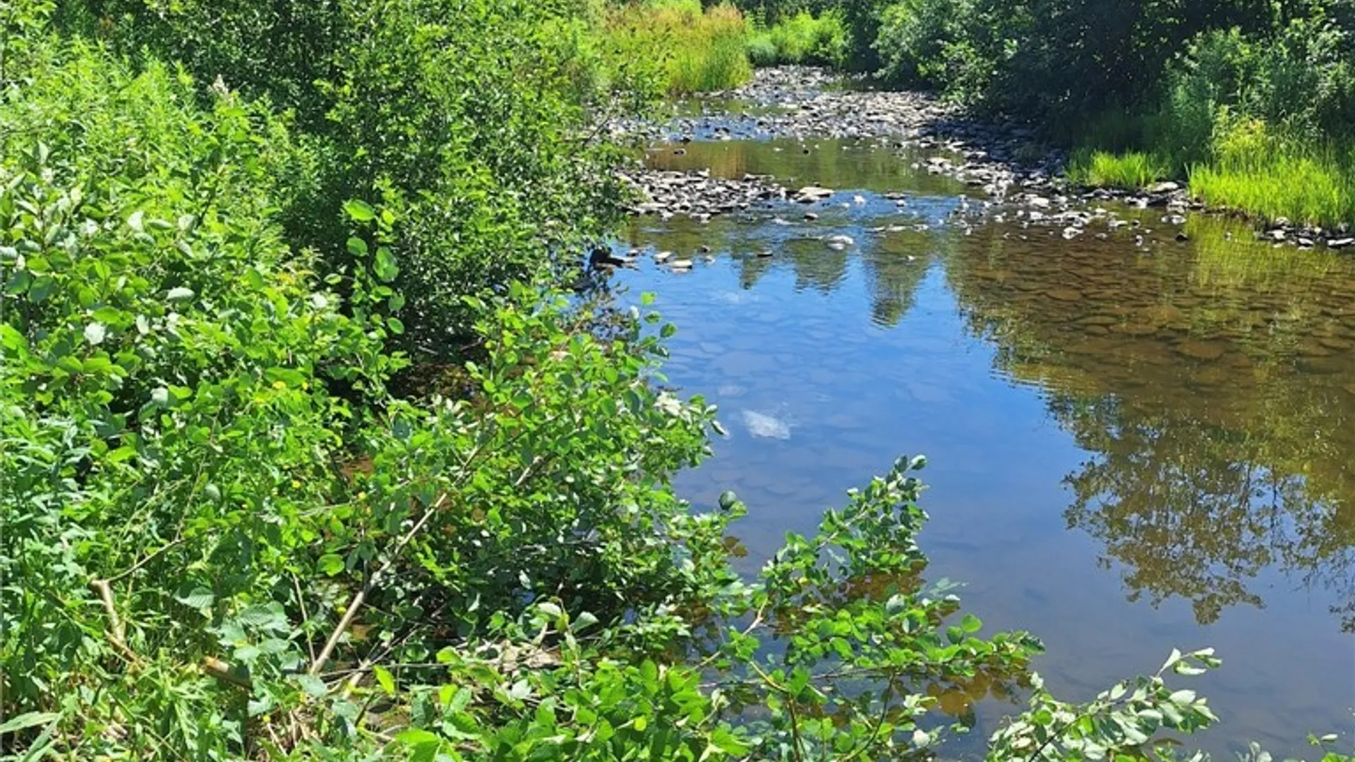 Property at 6 Streiff Road, Ava, NY 13303 9