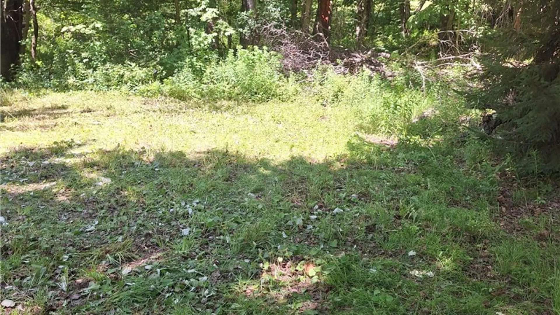 Property at 6 Streiff Road, Ava, NY 13303 11